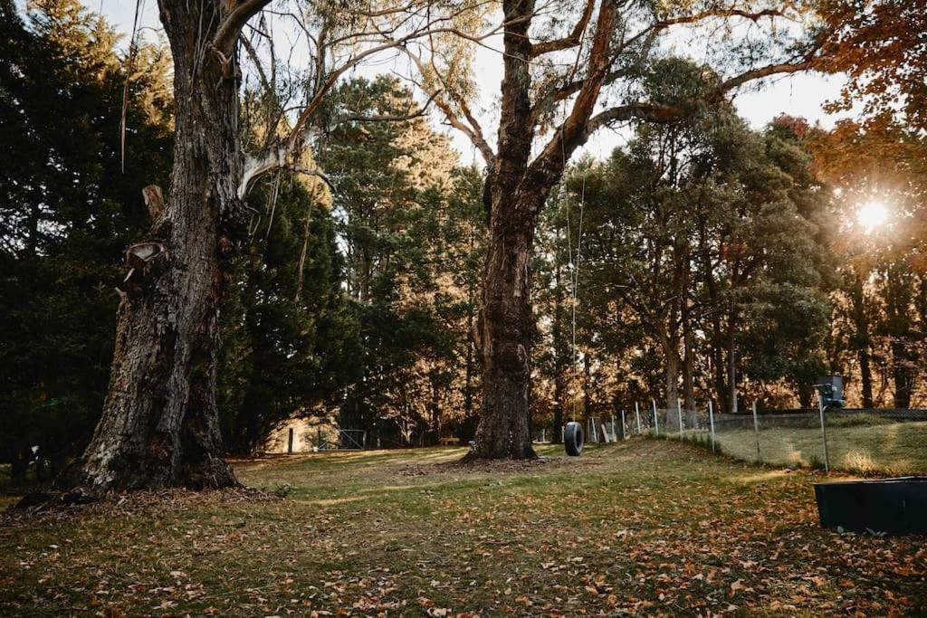The Maple Lodge - 20 percent off for Black Friday, Nov & Dec dates only