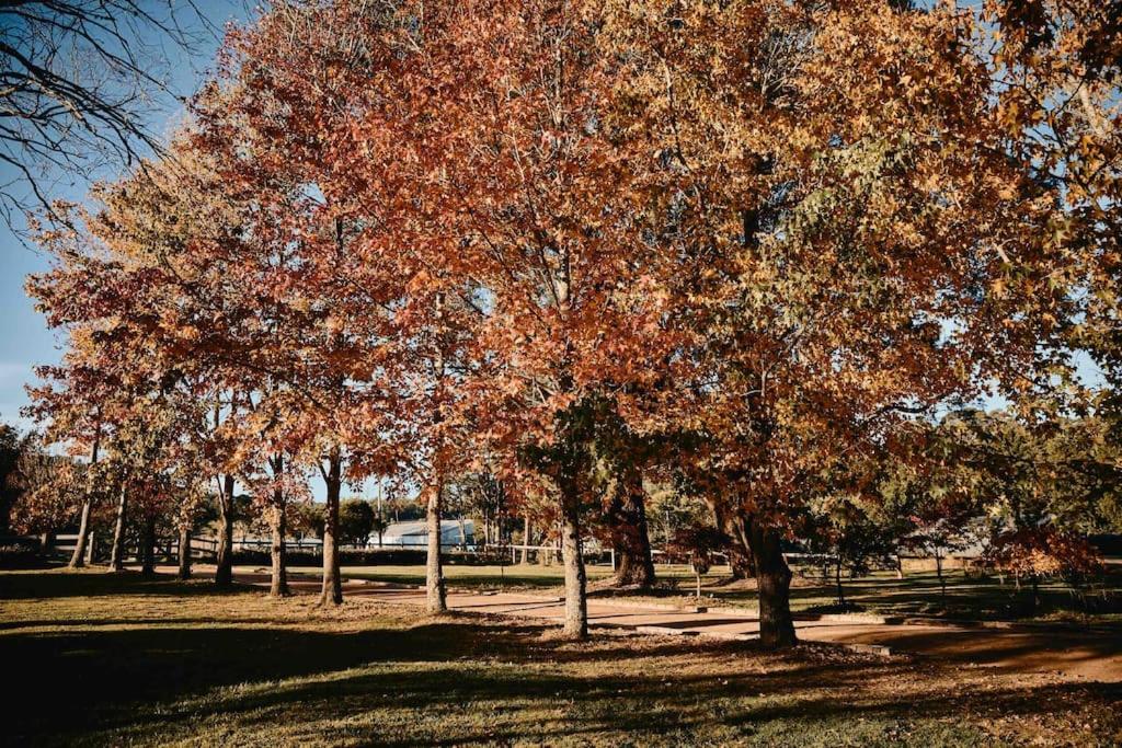 The Maple Lodge - 20 percent off for Black Friday, Nov & Dec dates only