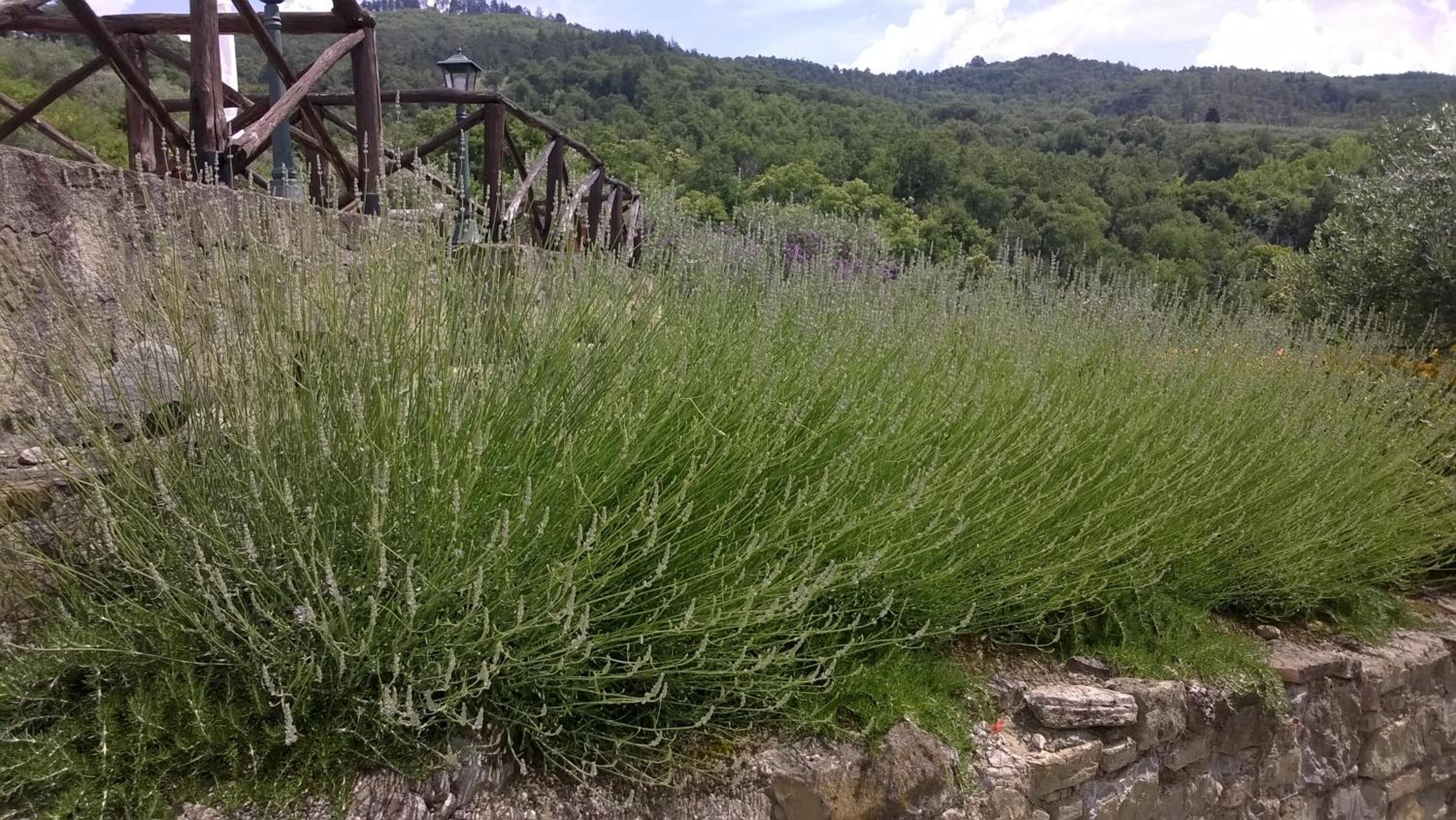 Piccolo Relais Galletto di Marzo -Dimora per due con spa privata