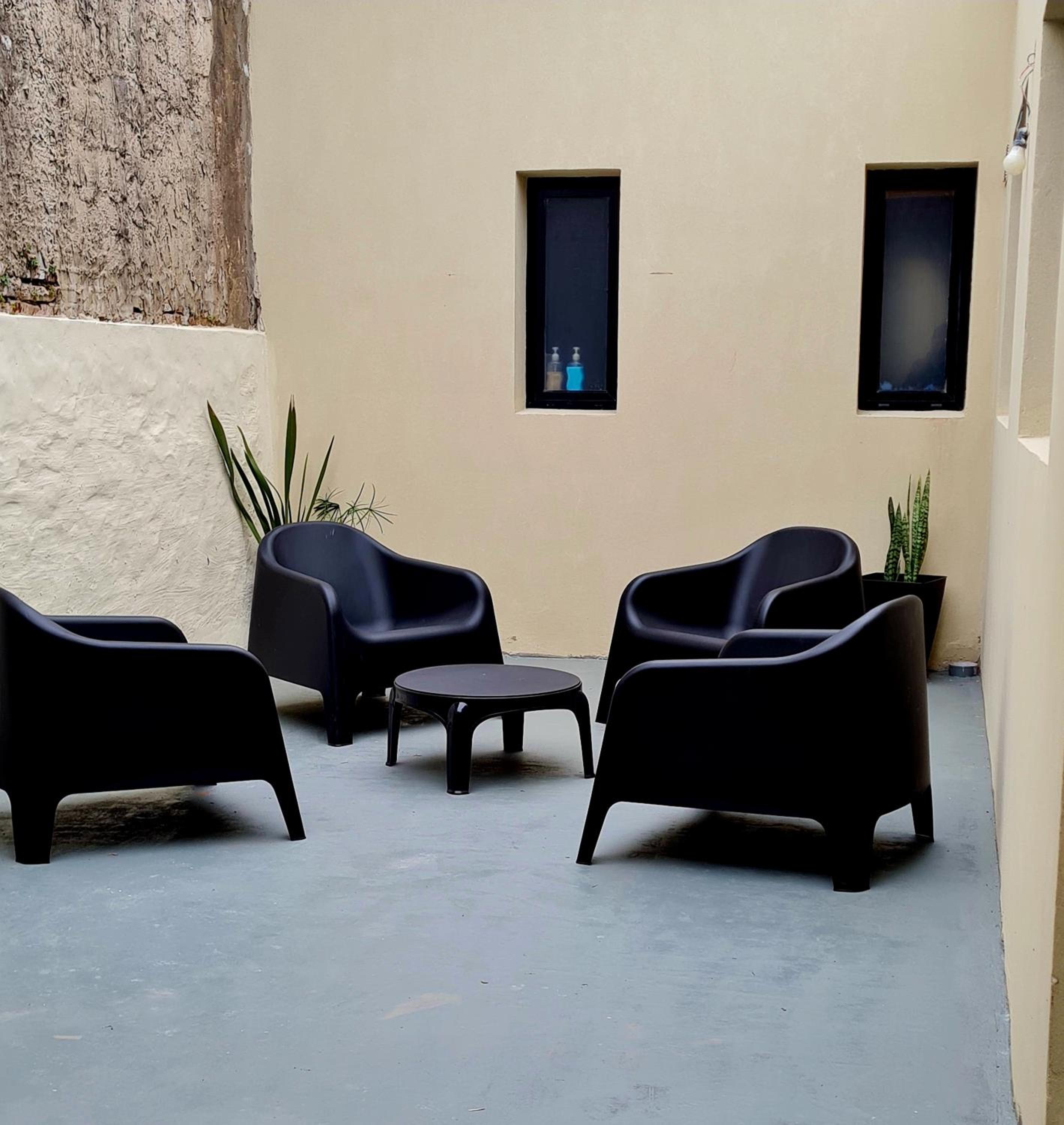 Lechuza Alvear