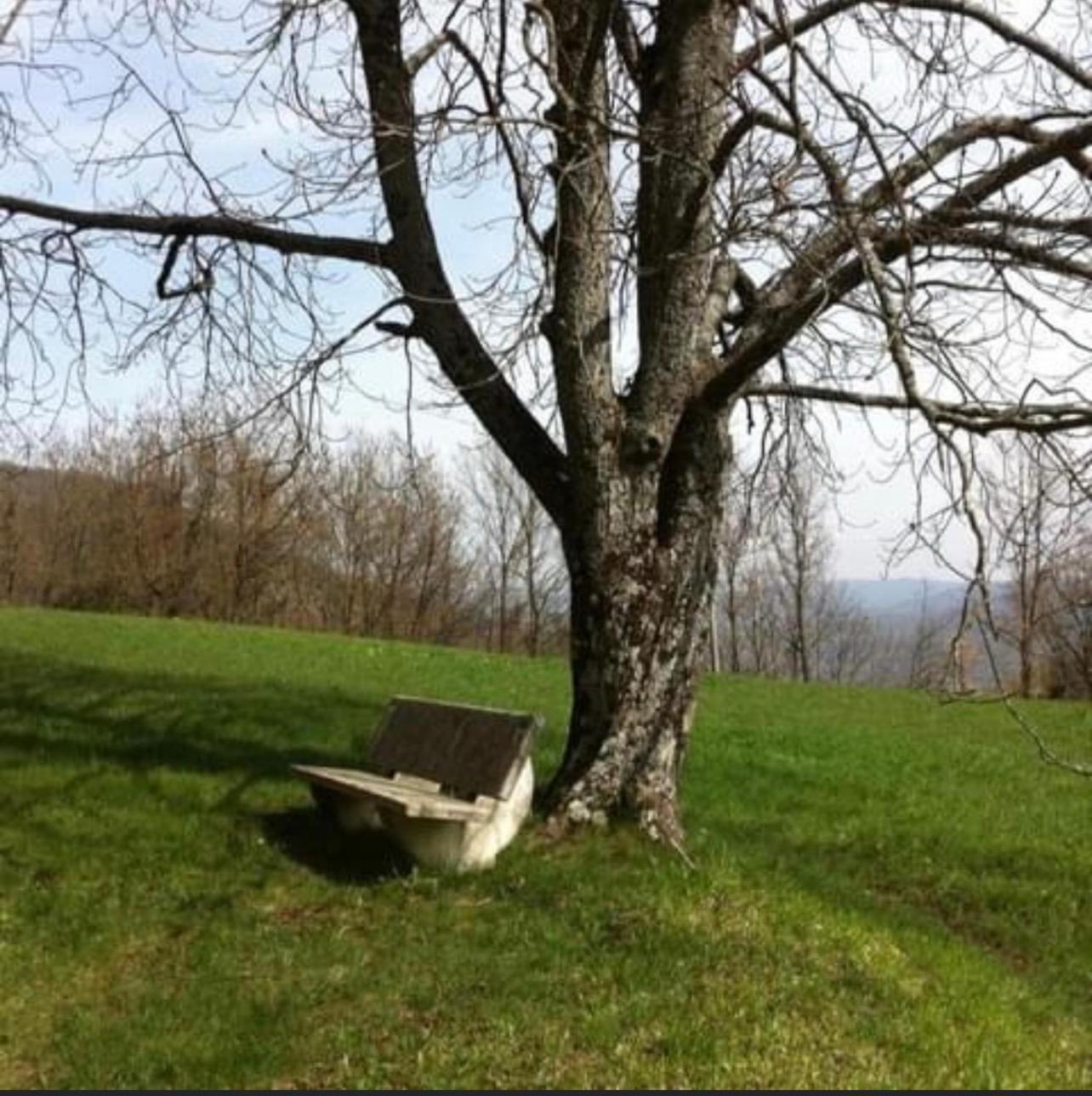 villa Romei view 2