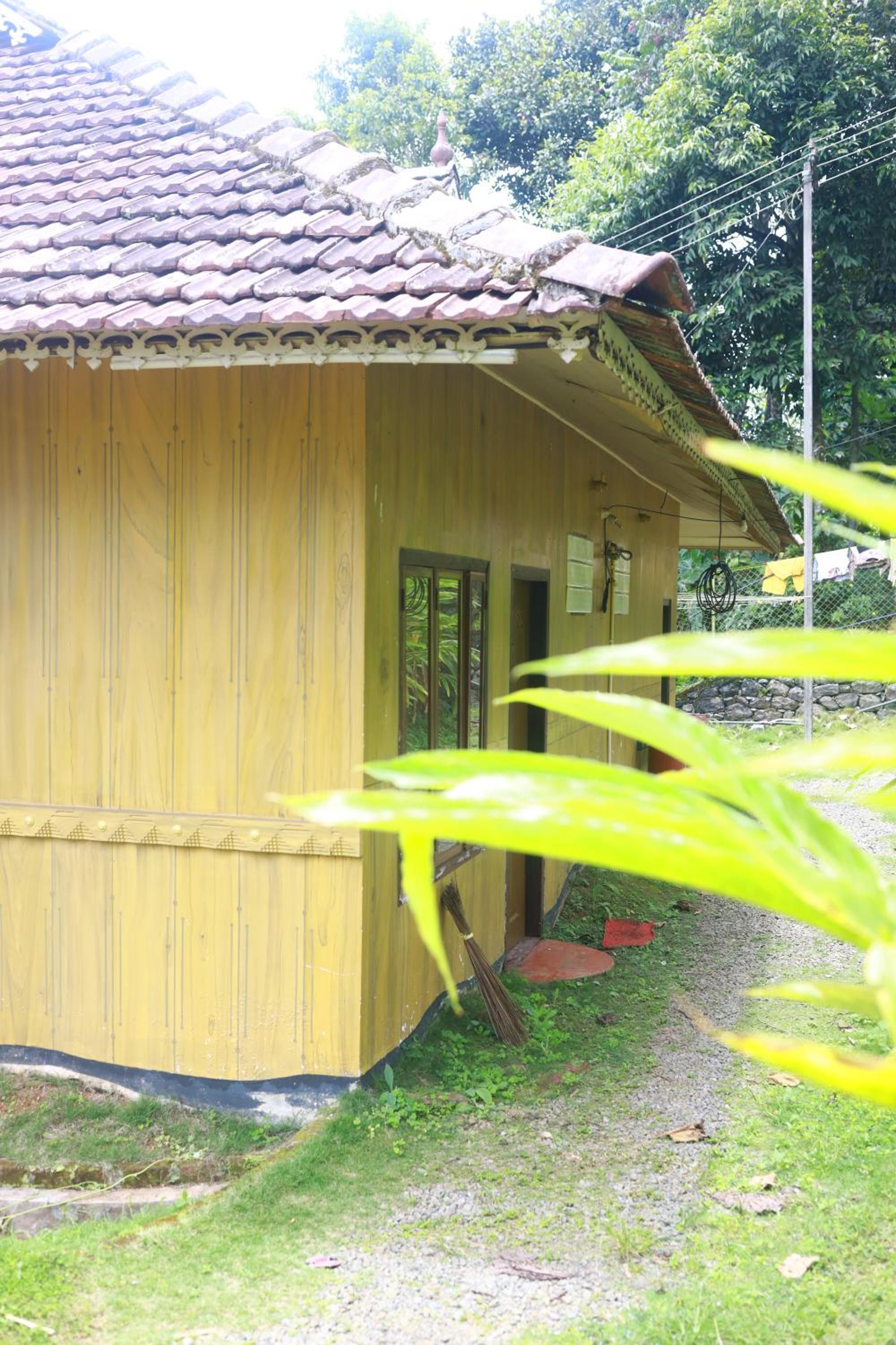 Photo 42