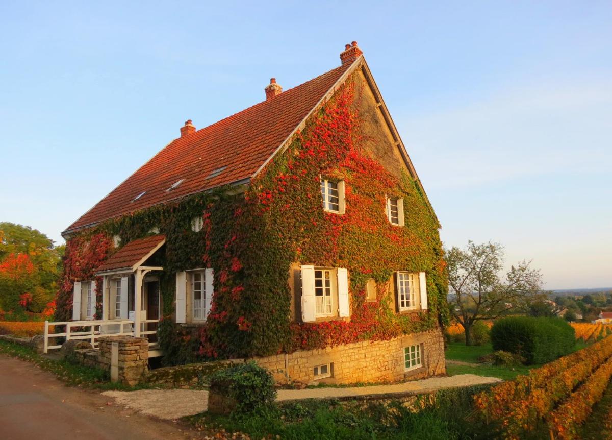 La Passerelle des Corton B&B view 5
