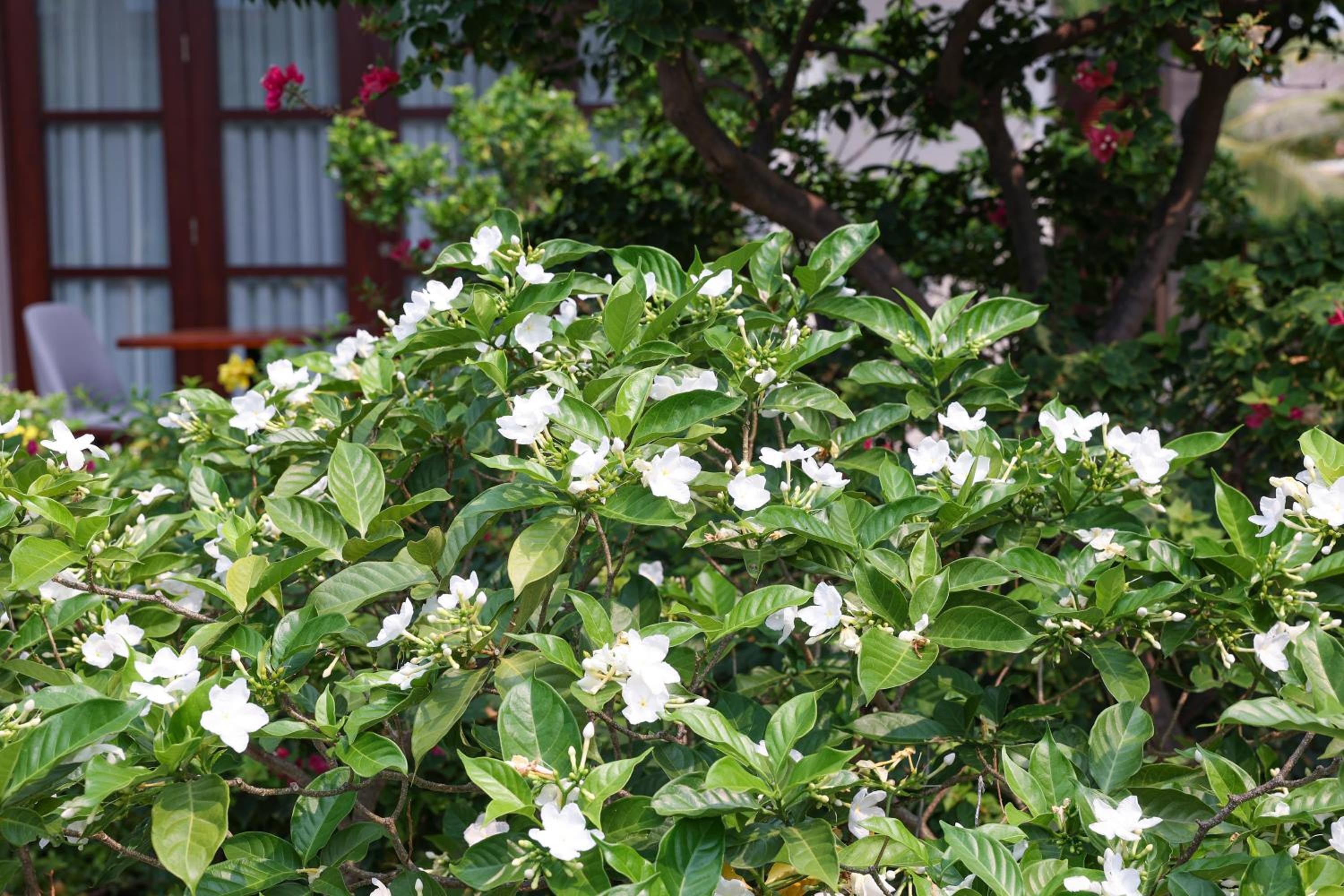 Photo 47