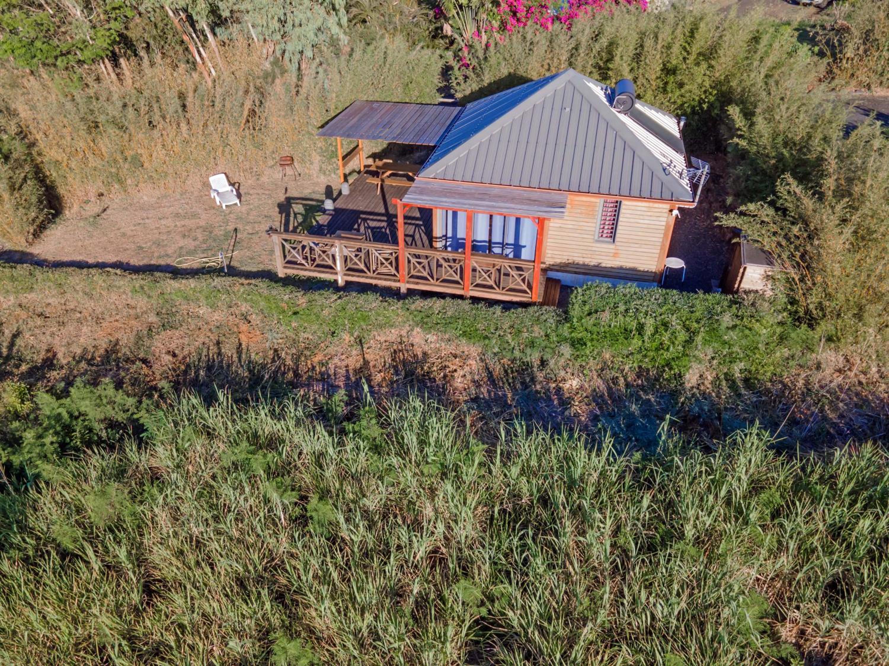 bambous-bungalows