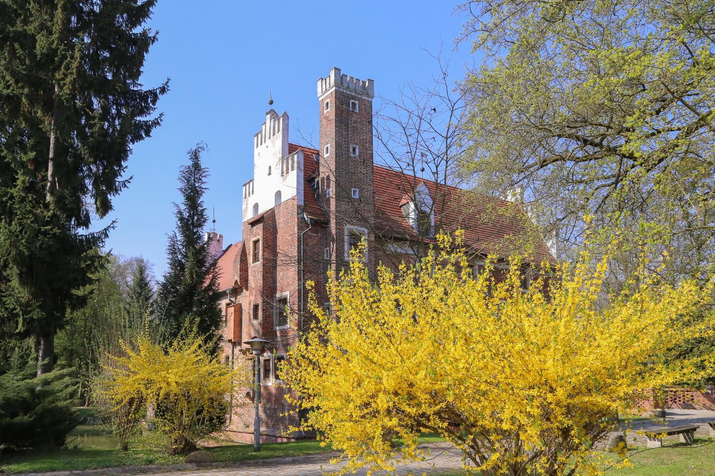 Photo 21