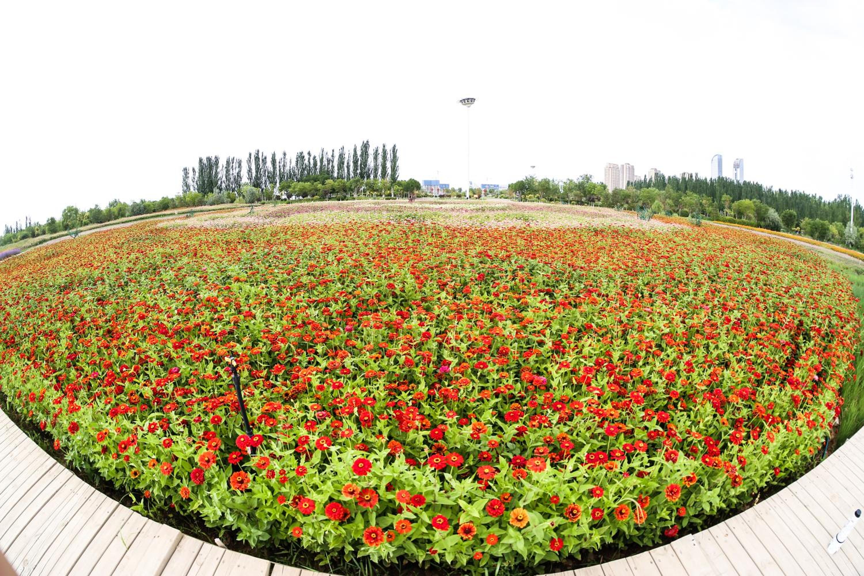 Primus Hotel Yinchuan