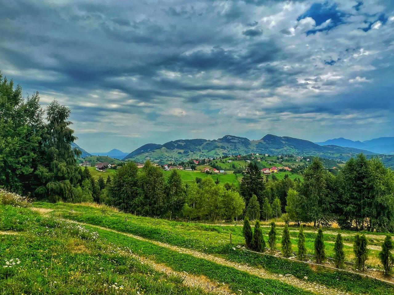 Photo 44