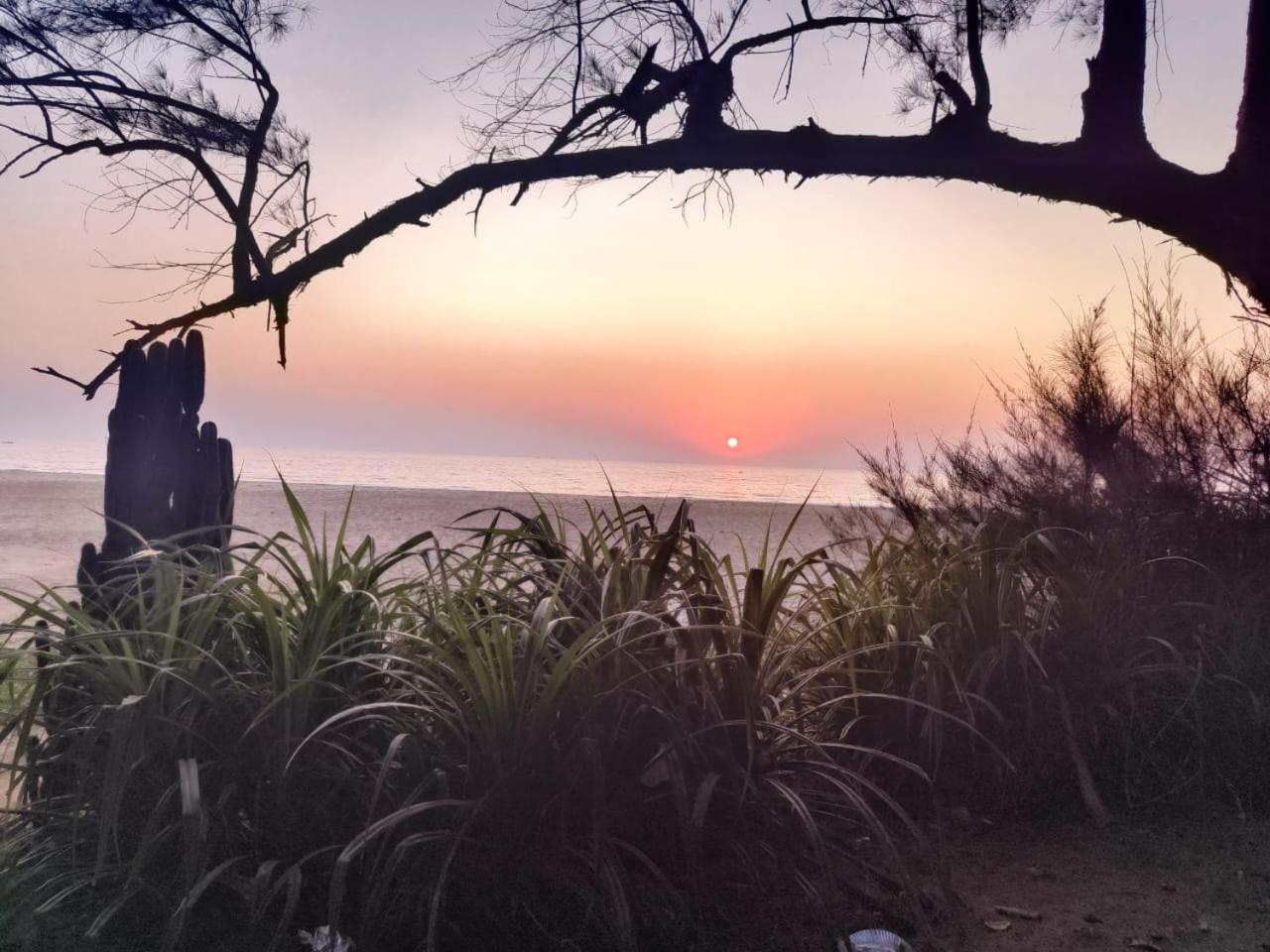 Ale beach stay view 2