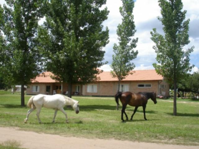 Atahualpa mi Posada