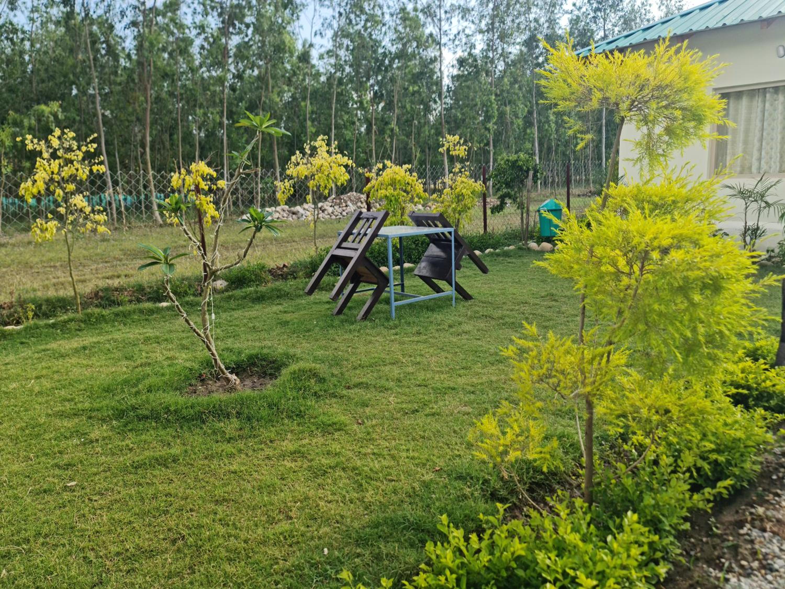 Photo 15