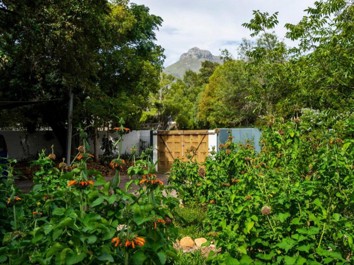 Kriluki Accommodation view 3