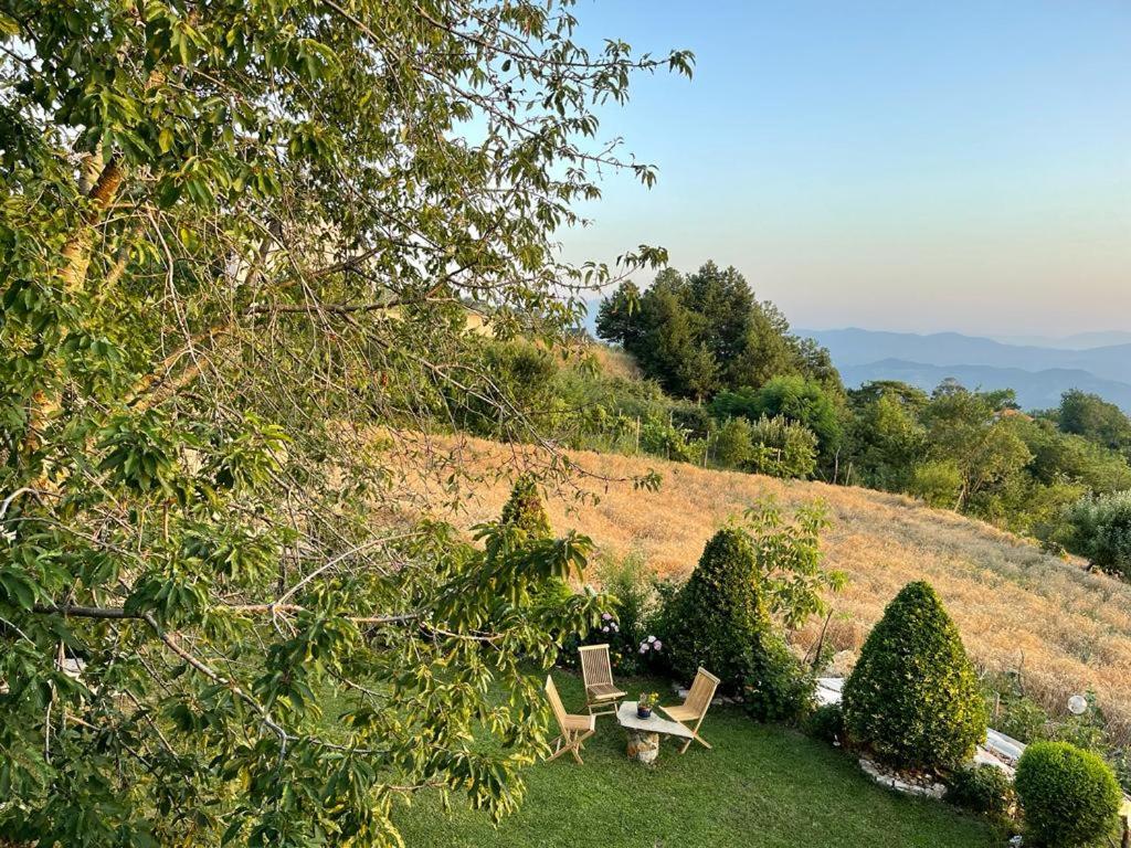 Bujtina Bezhani Gjinar