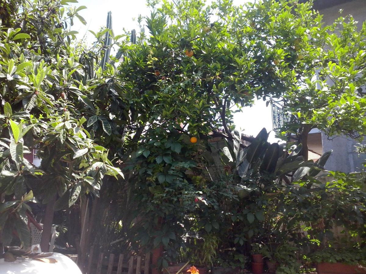 Photo 22
