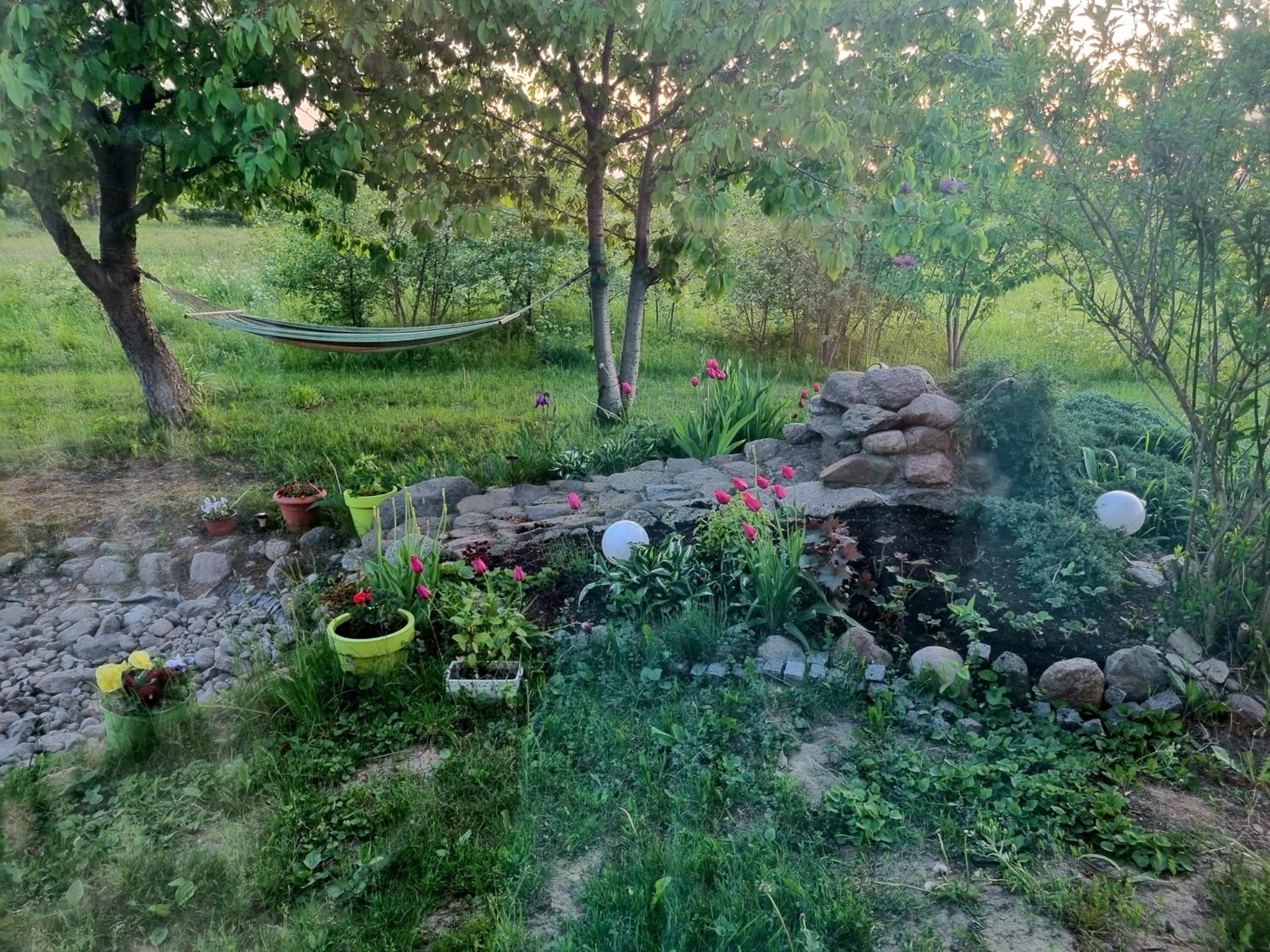 Vilmos House view 4