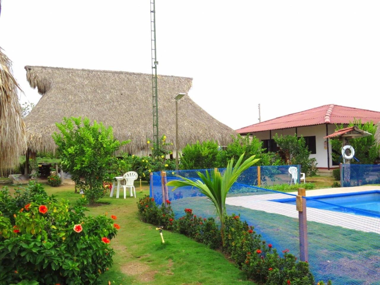 Palomino Breeze Hostal