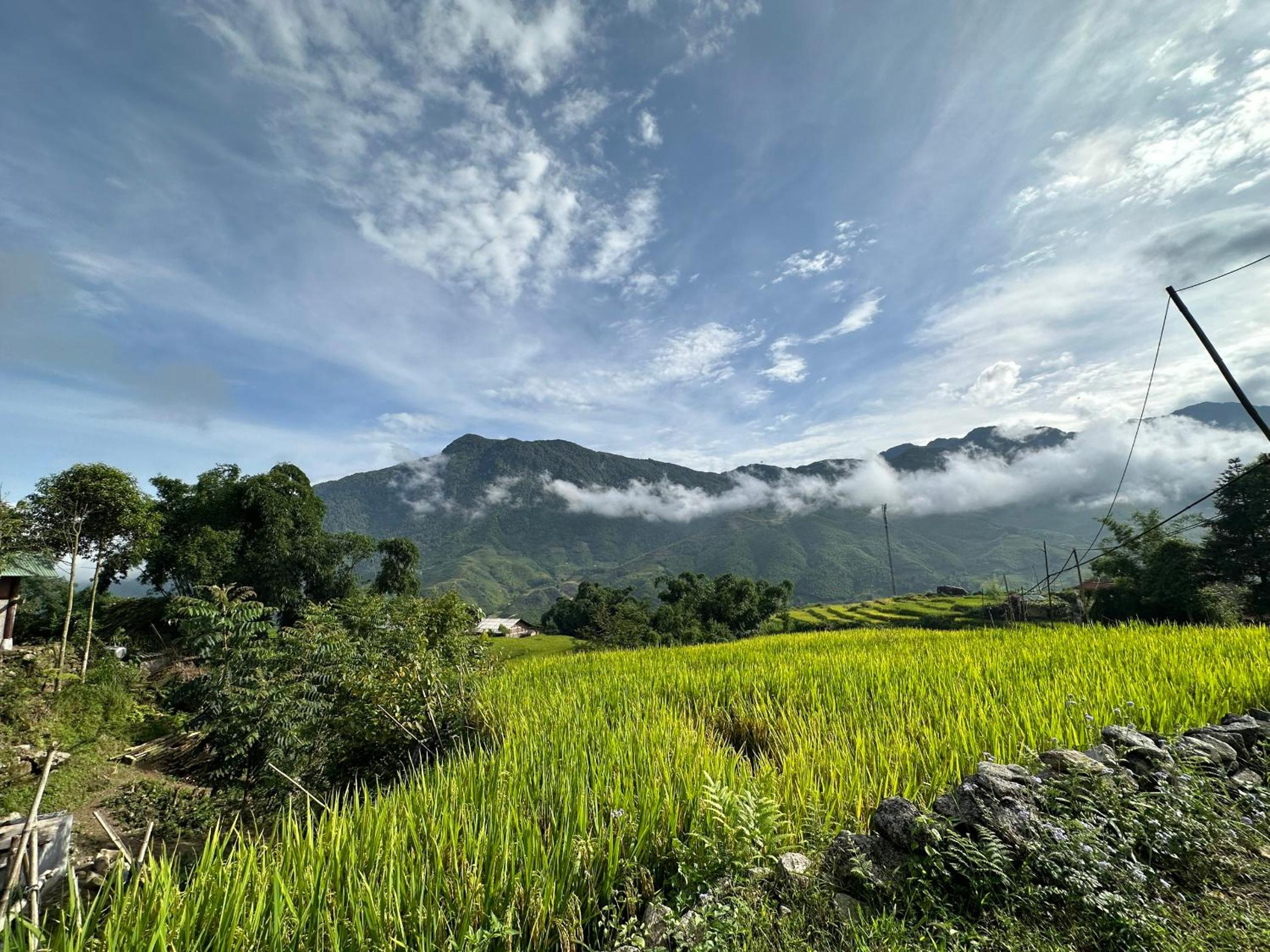 SaPa Hmong Streamside Homestay