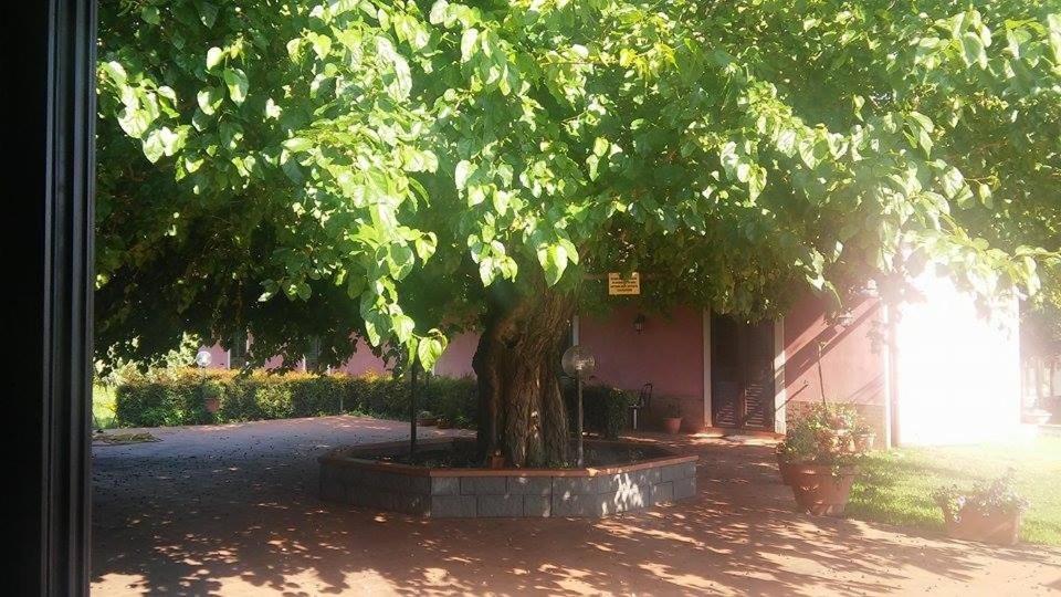 Agriturismo Il Pozzo Antico