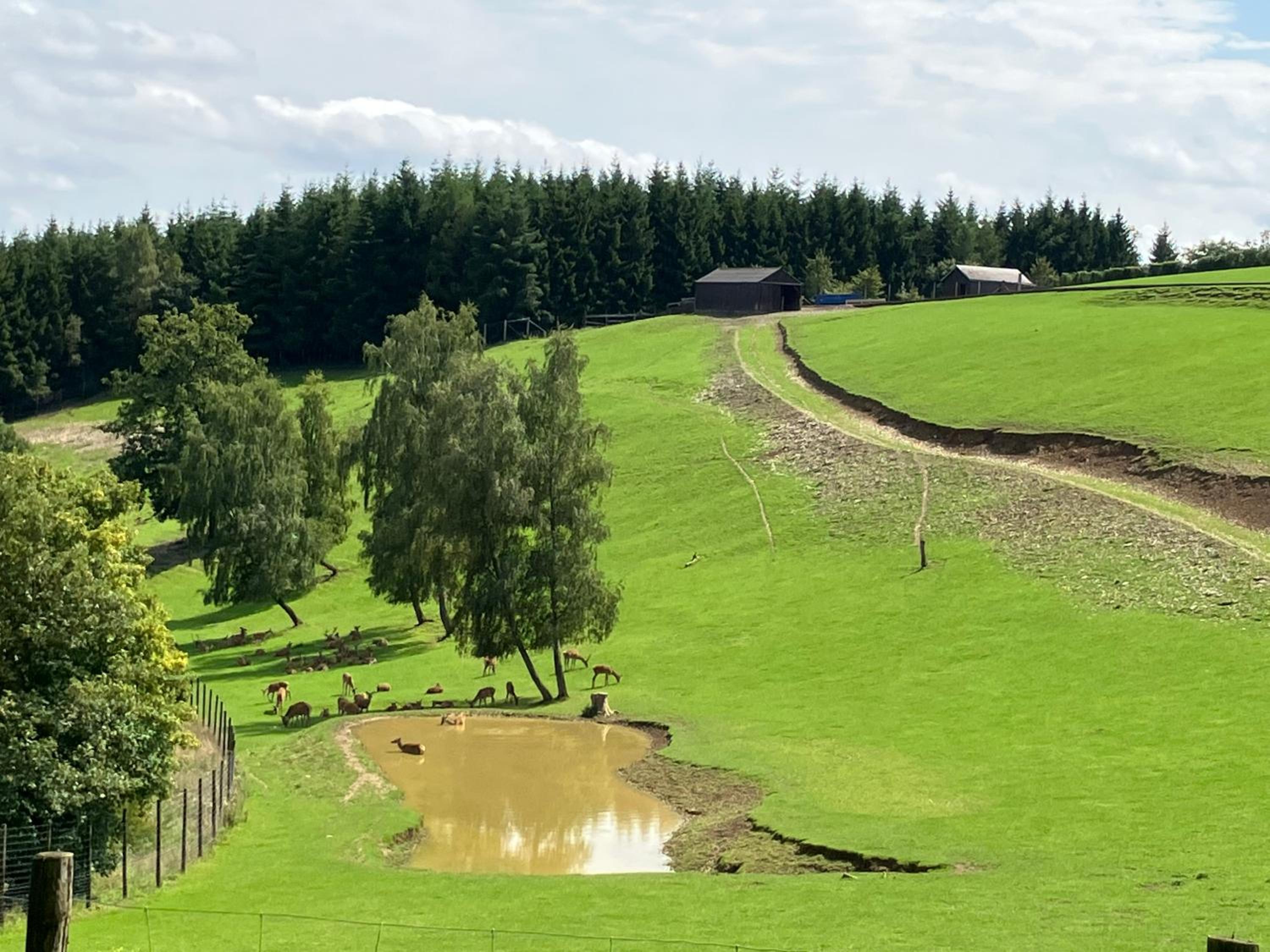 Bungalow Rochehaut au calme