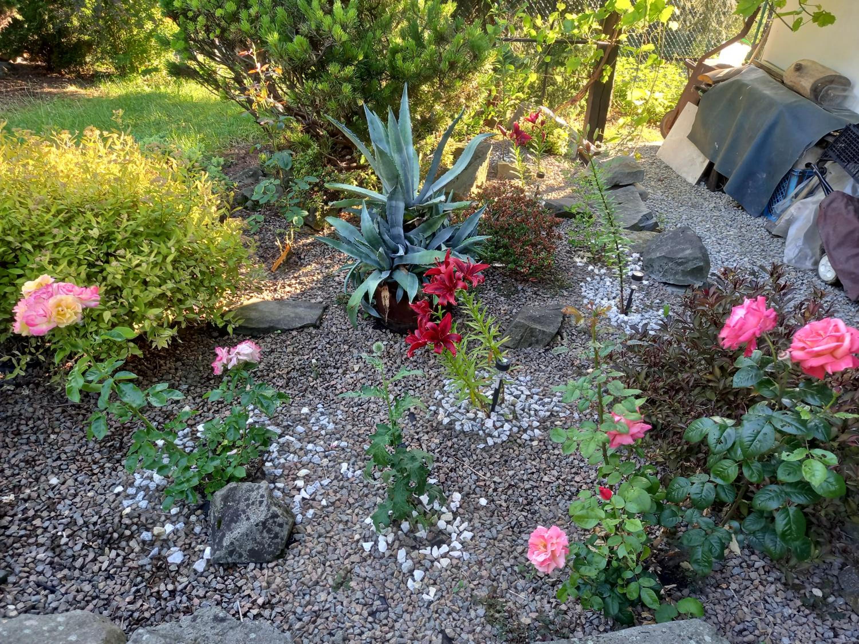 Photo 16