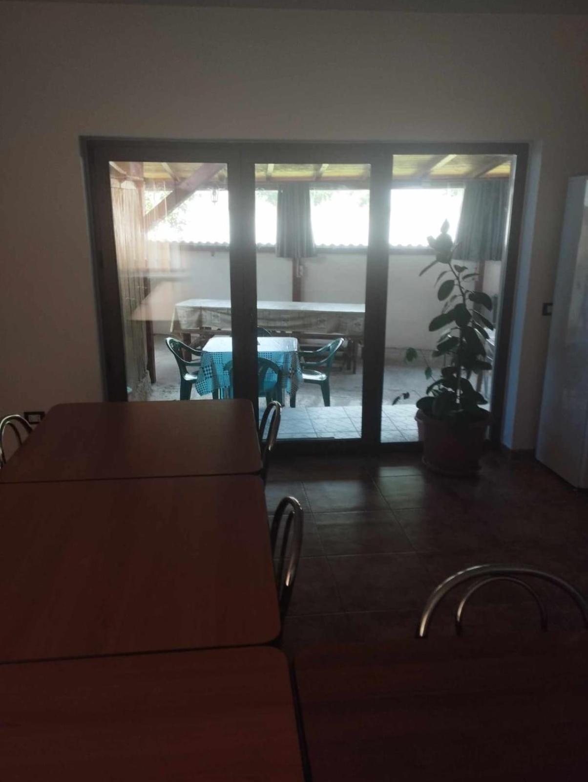 CASA DAVID