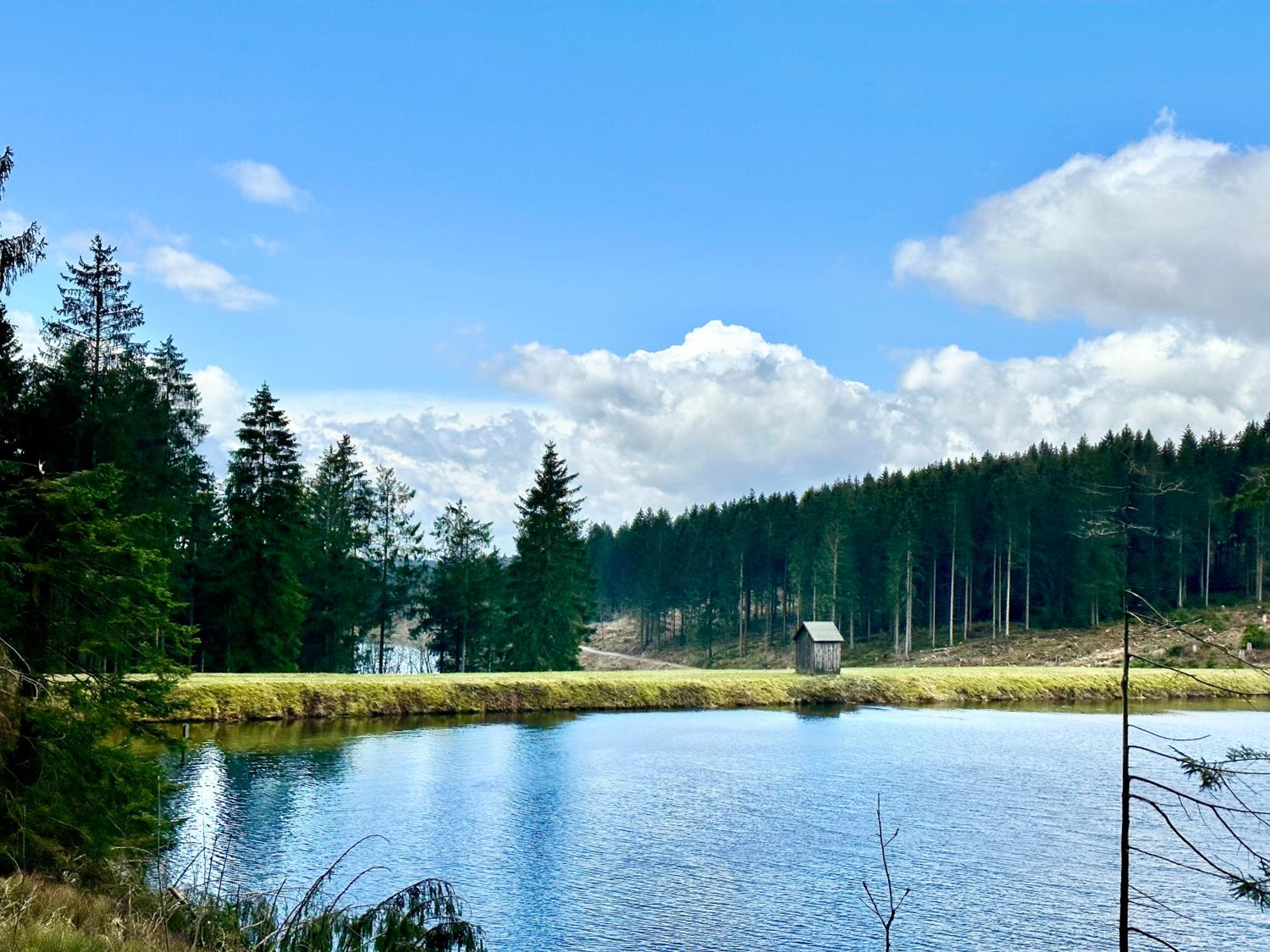 Schöne Aussicht!