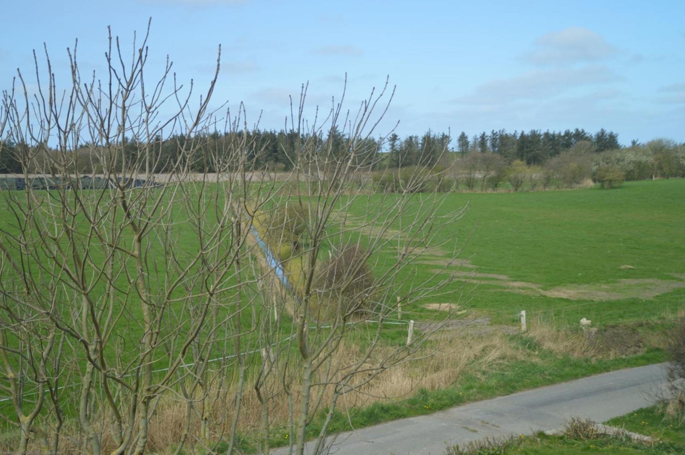Inselblick