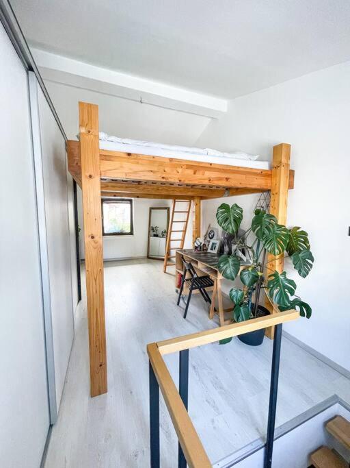 Apartment *MALA*