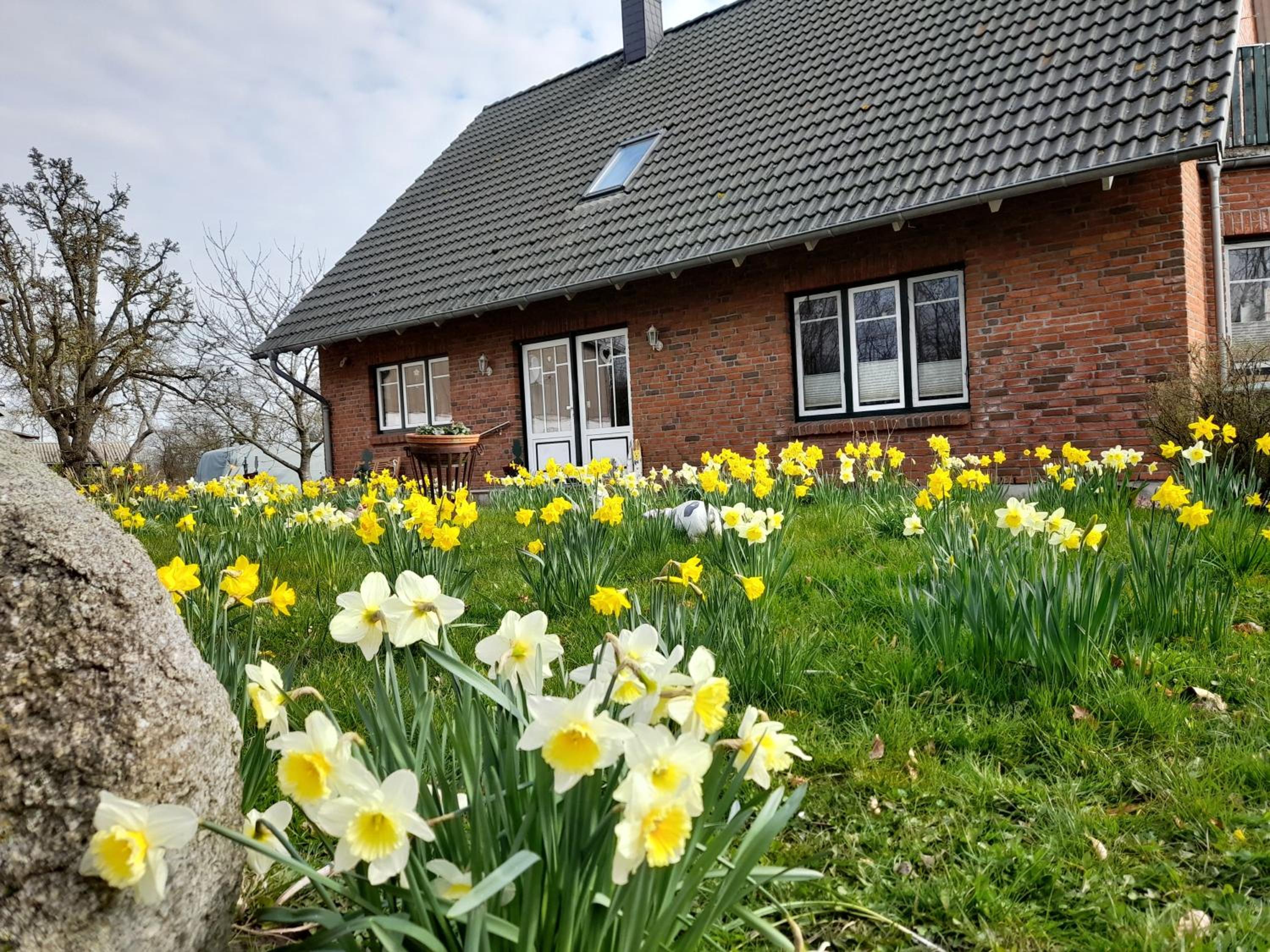 Ferienwohnung Mangelsen