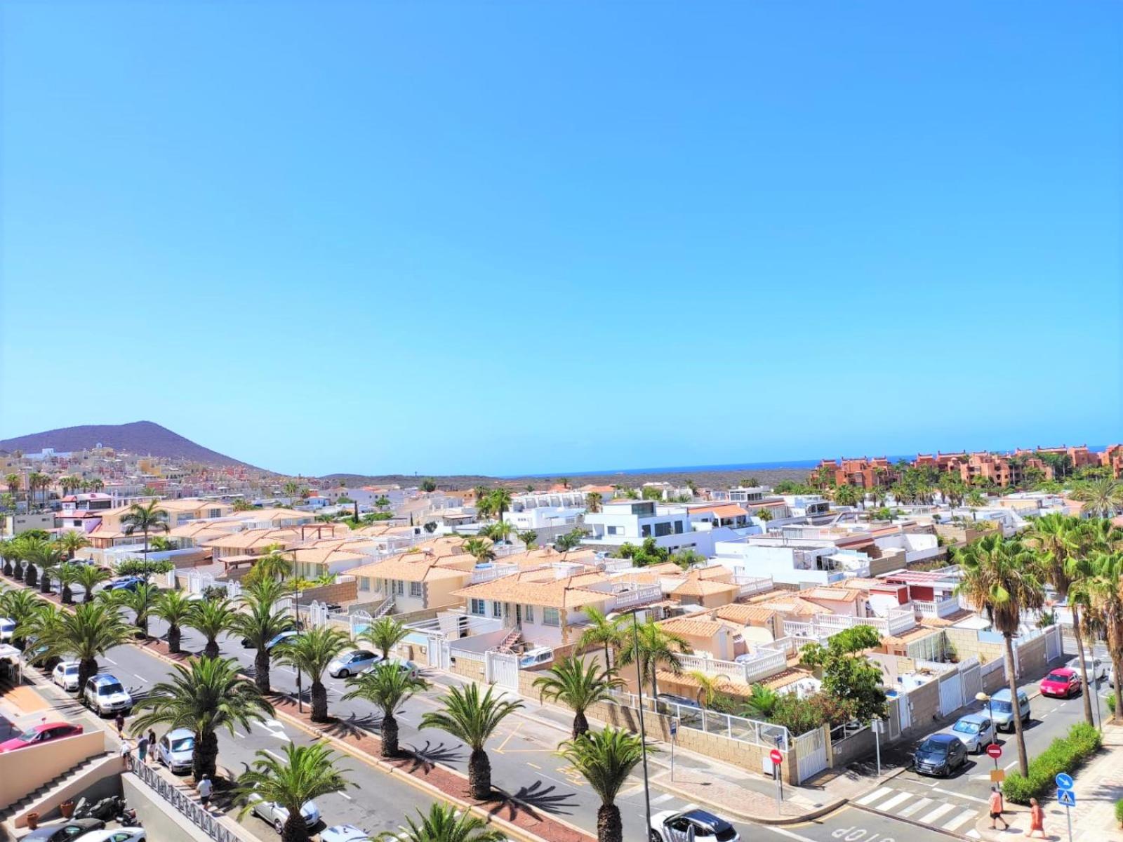 Tenerife Flamingo
