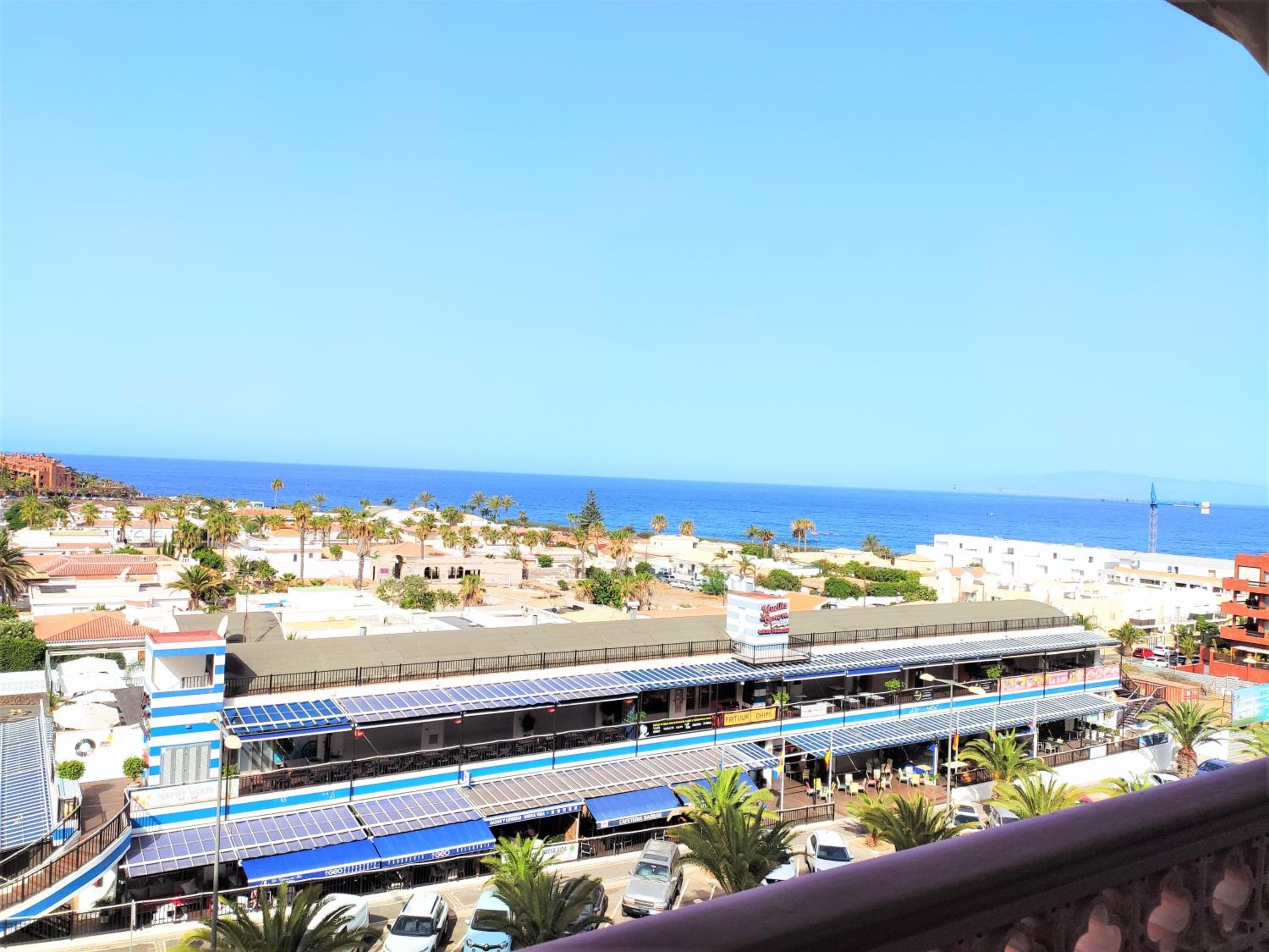 Tenerife Flamingo