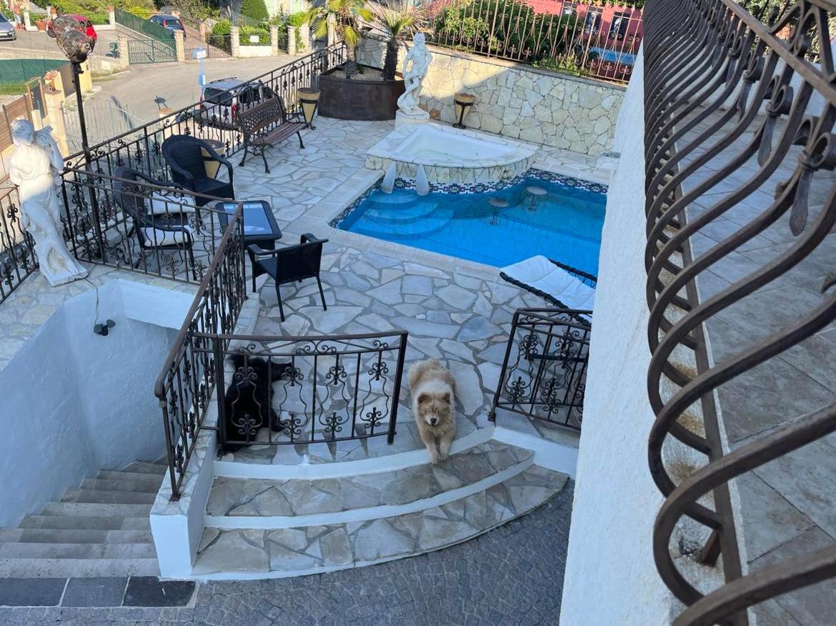 Chambres chez l'habitant Villa l'Île aux Anges, photo 32