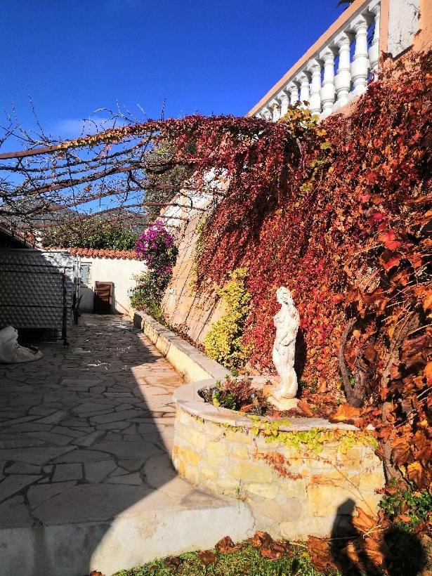 Chambres chez l'habitant Villa l'Île aux Anges, photo 19