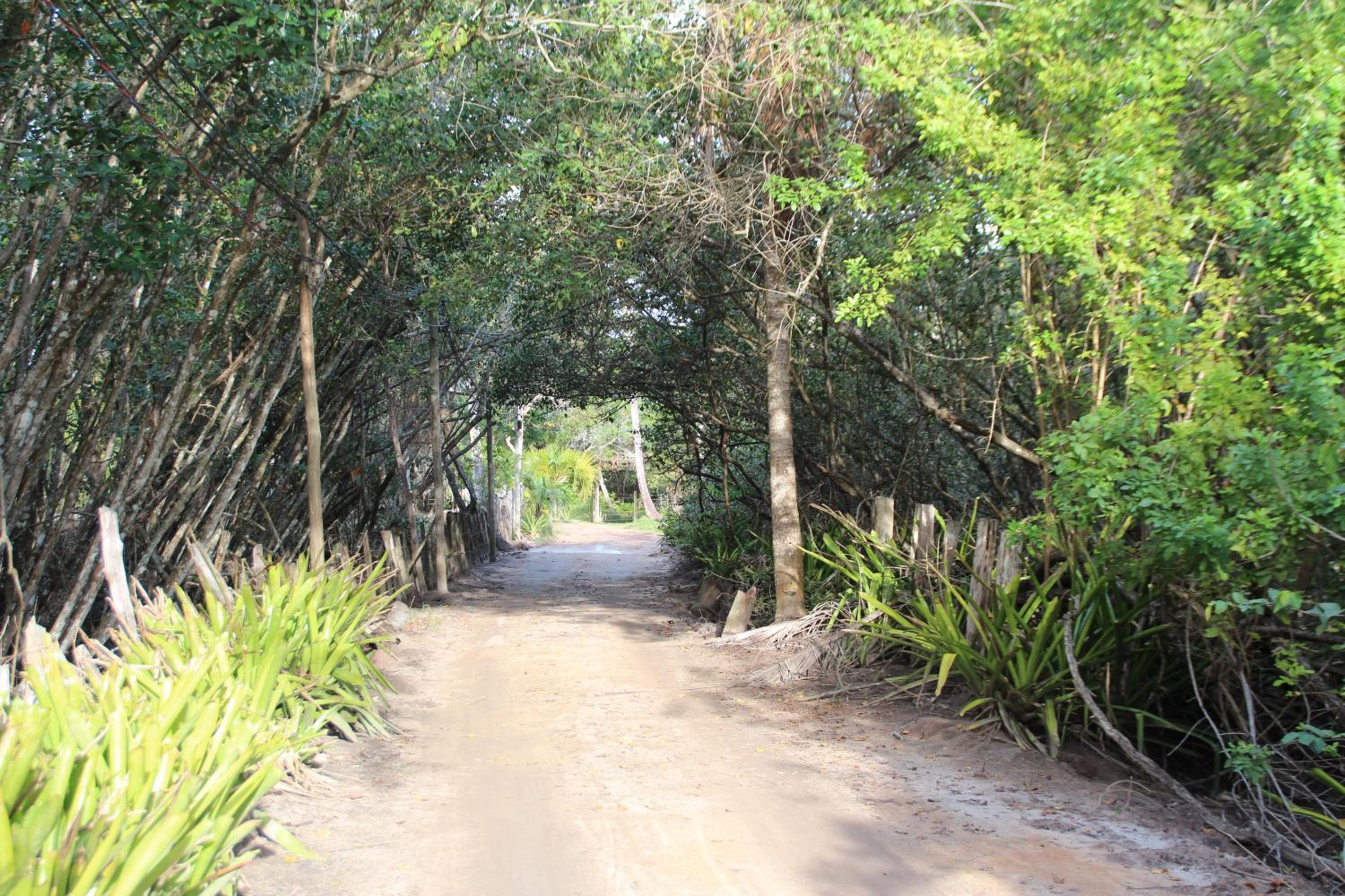 Maison de plage à Santo Antonio