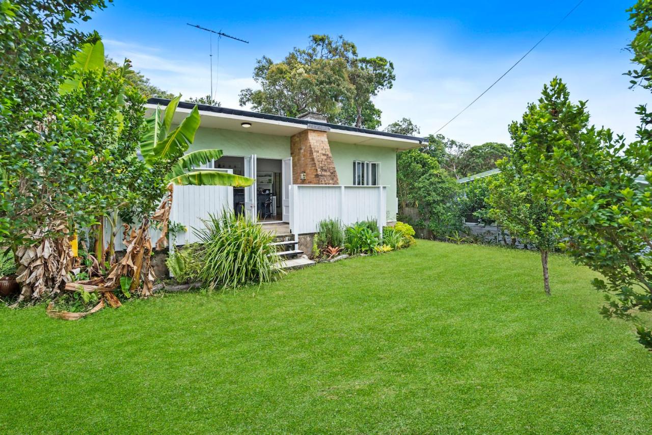 Frogmouth - 87 Mooloomba Road