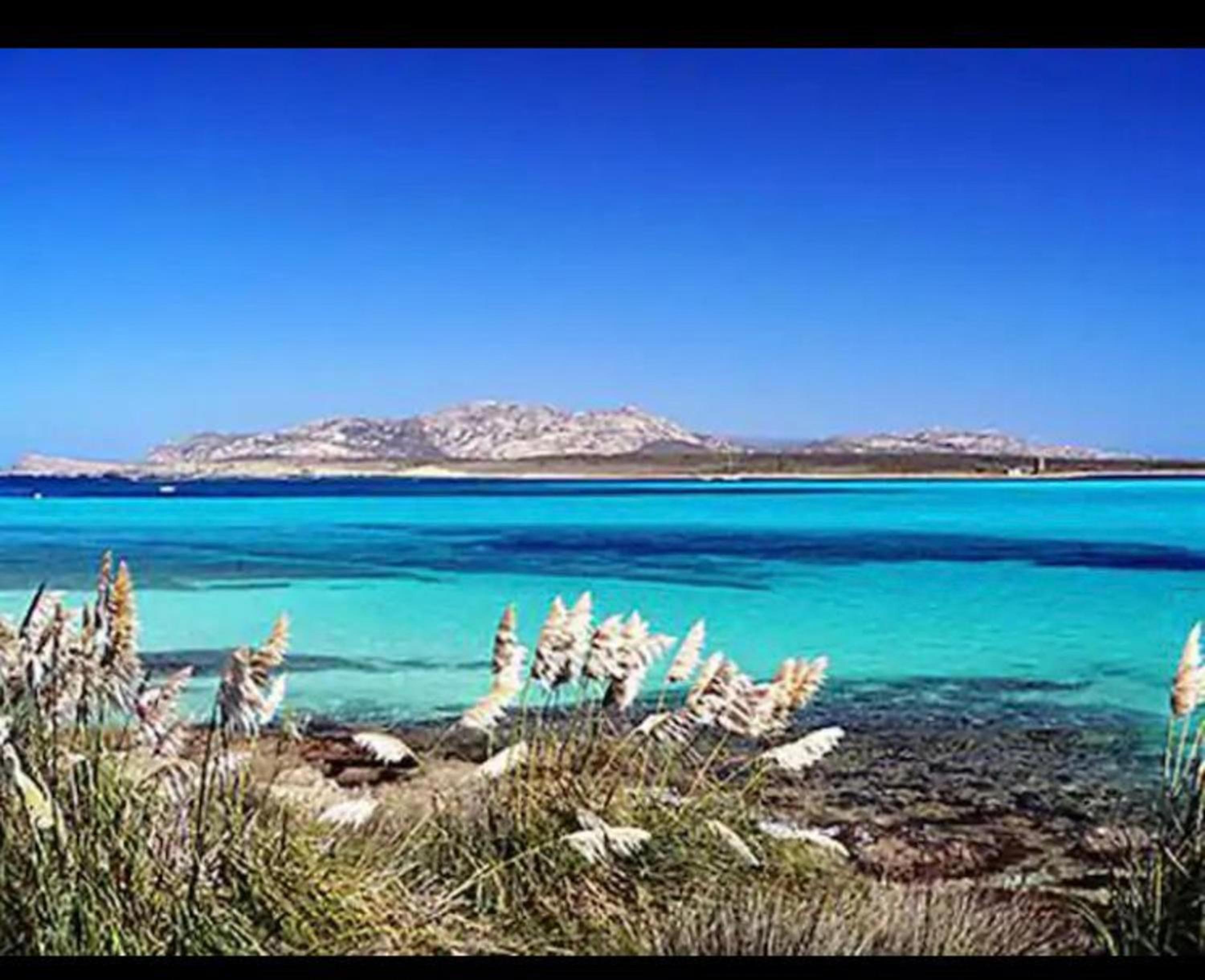 Casa vacanze Il Girasole a Stintino photo 2