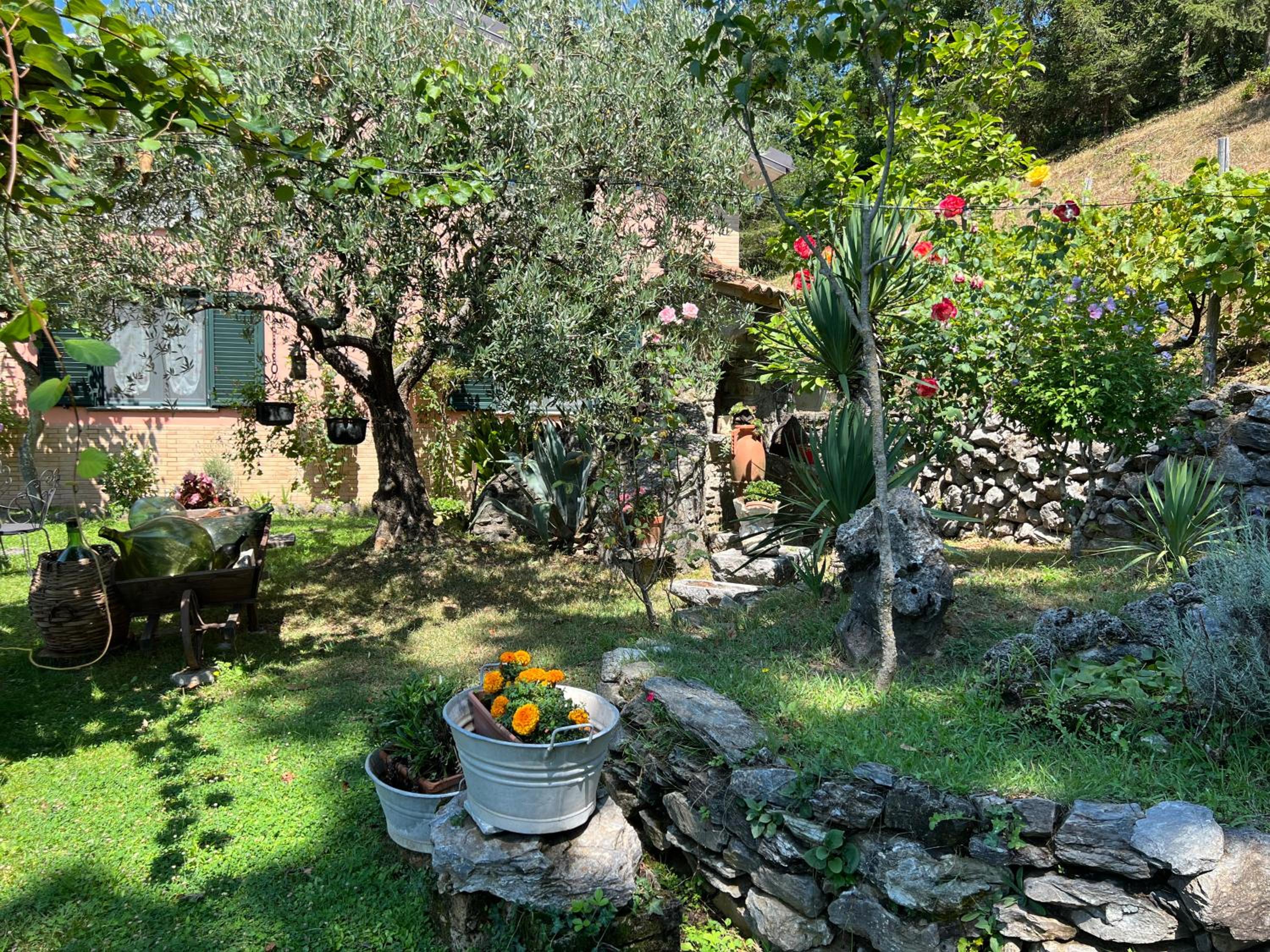 Villa Franca