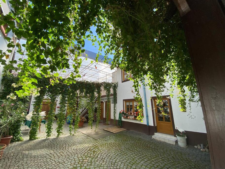 Wohnung in Kleinfischlingen