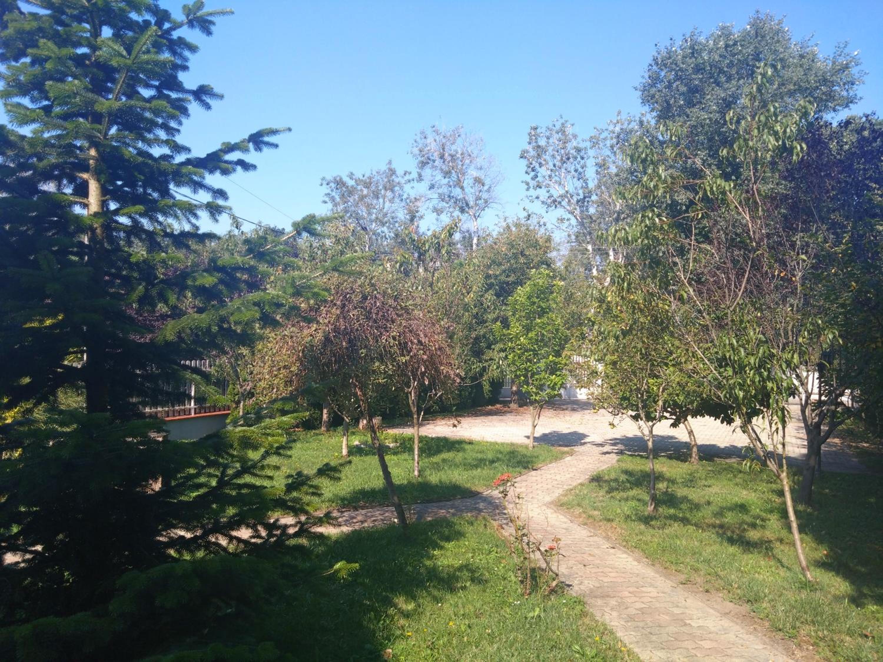 Photo 27