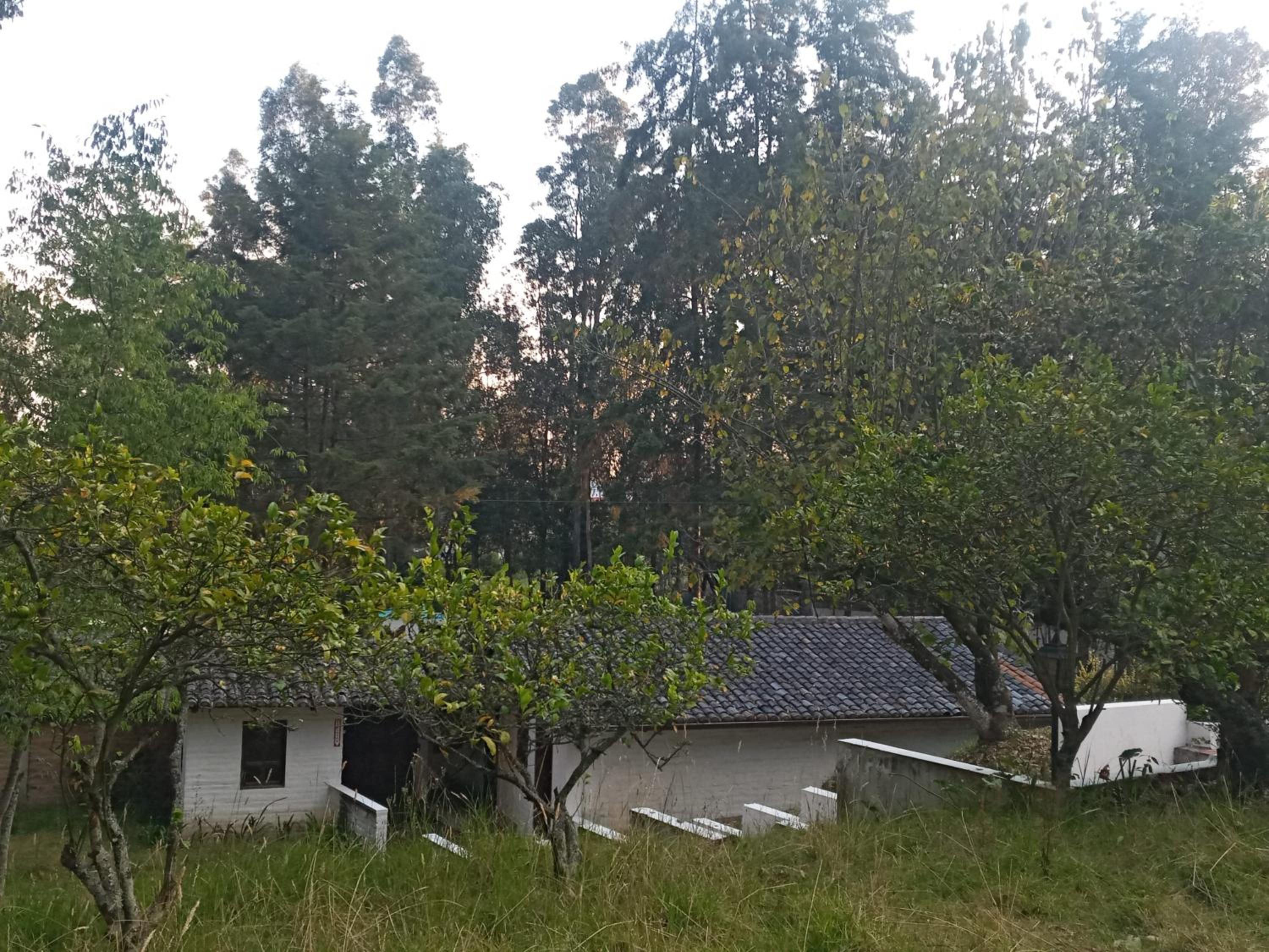 Quinta los Eucaliptos