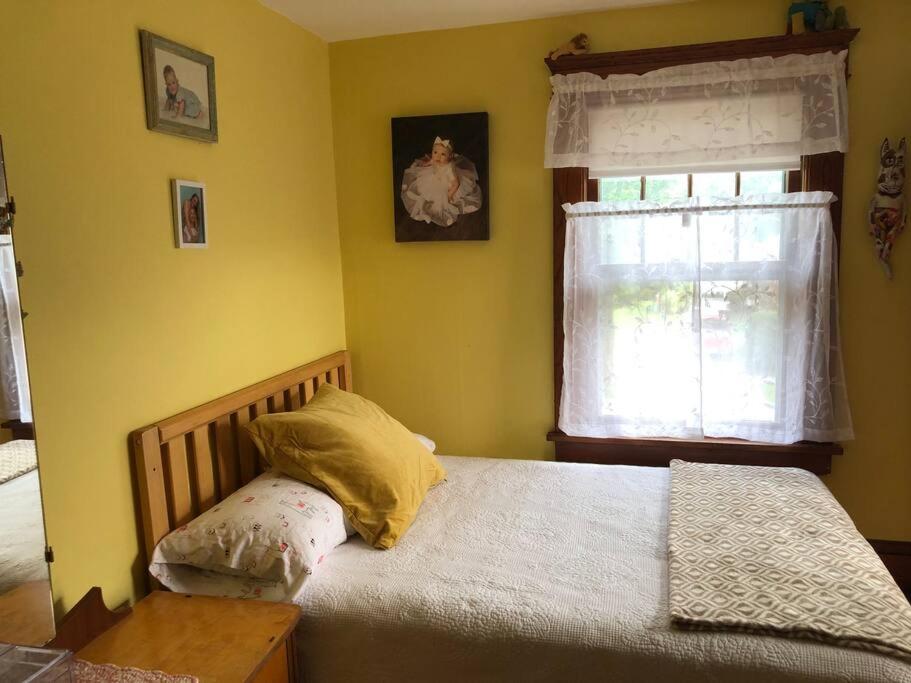 Comfy City Cottage view 2