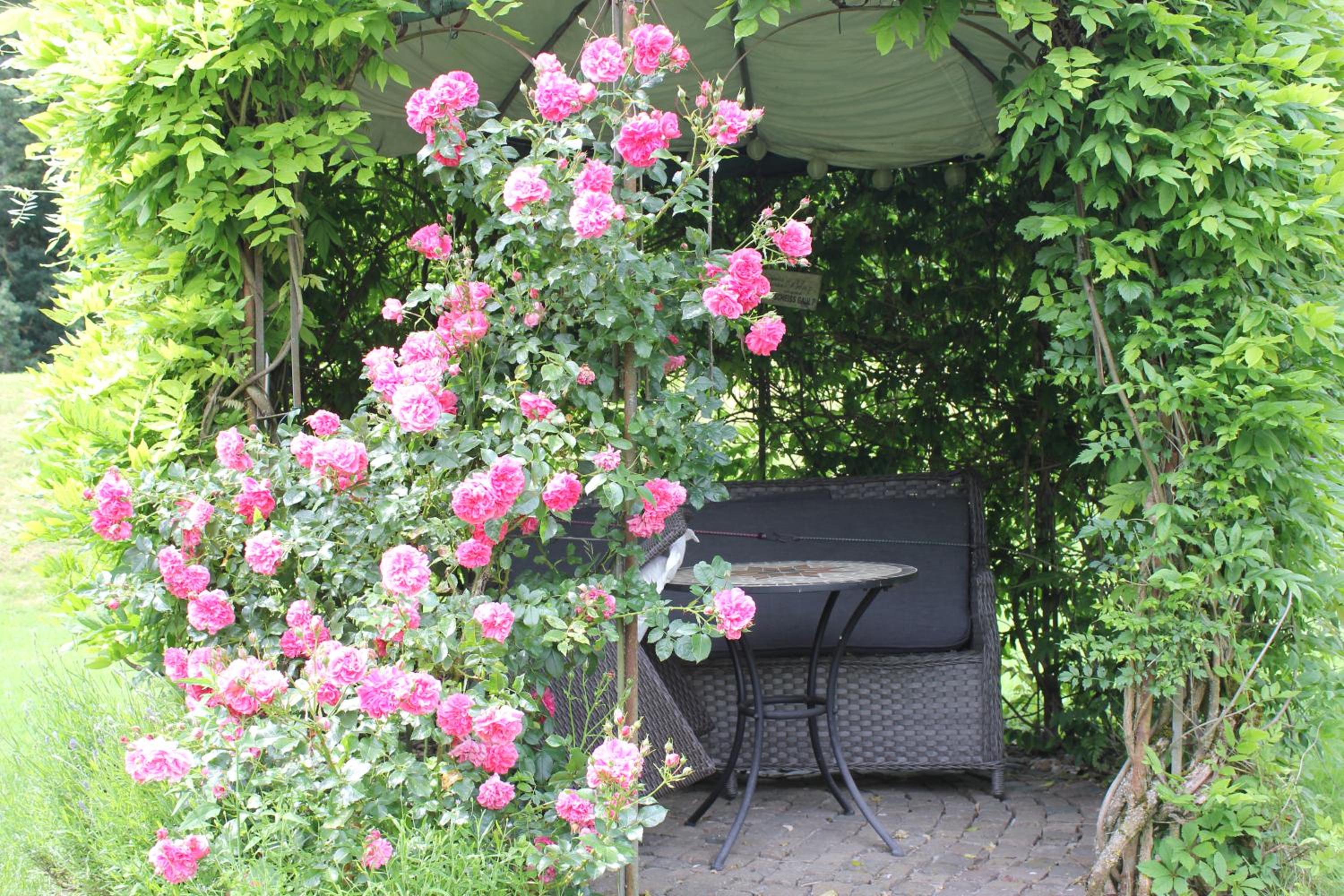Ferienidyll Aumuhle, "Bebenburg" - Property Image 34