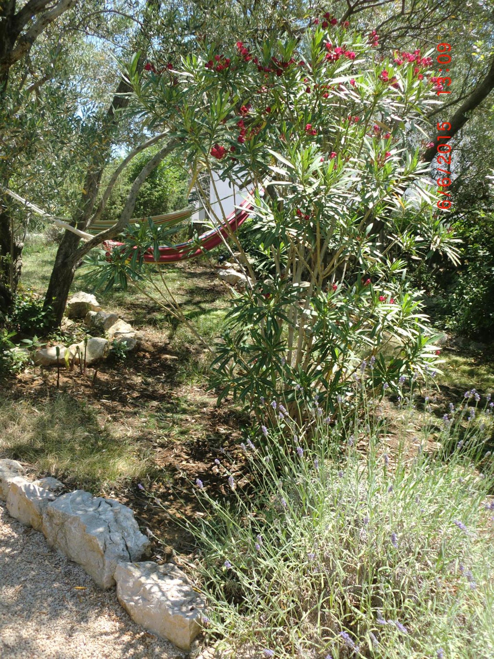 Photo 48