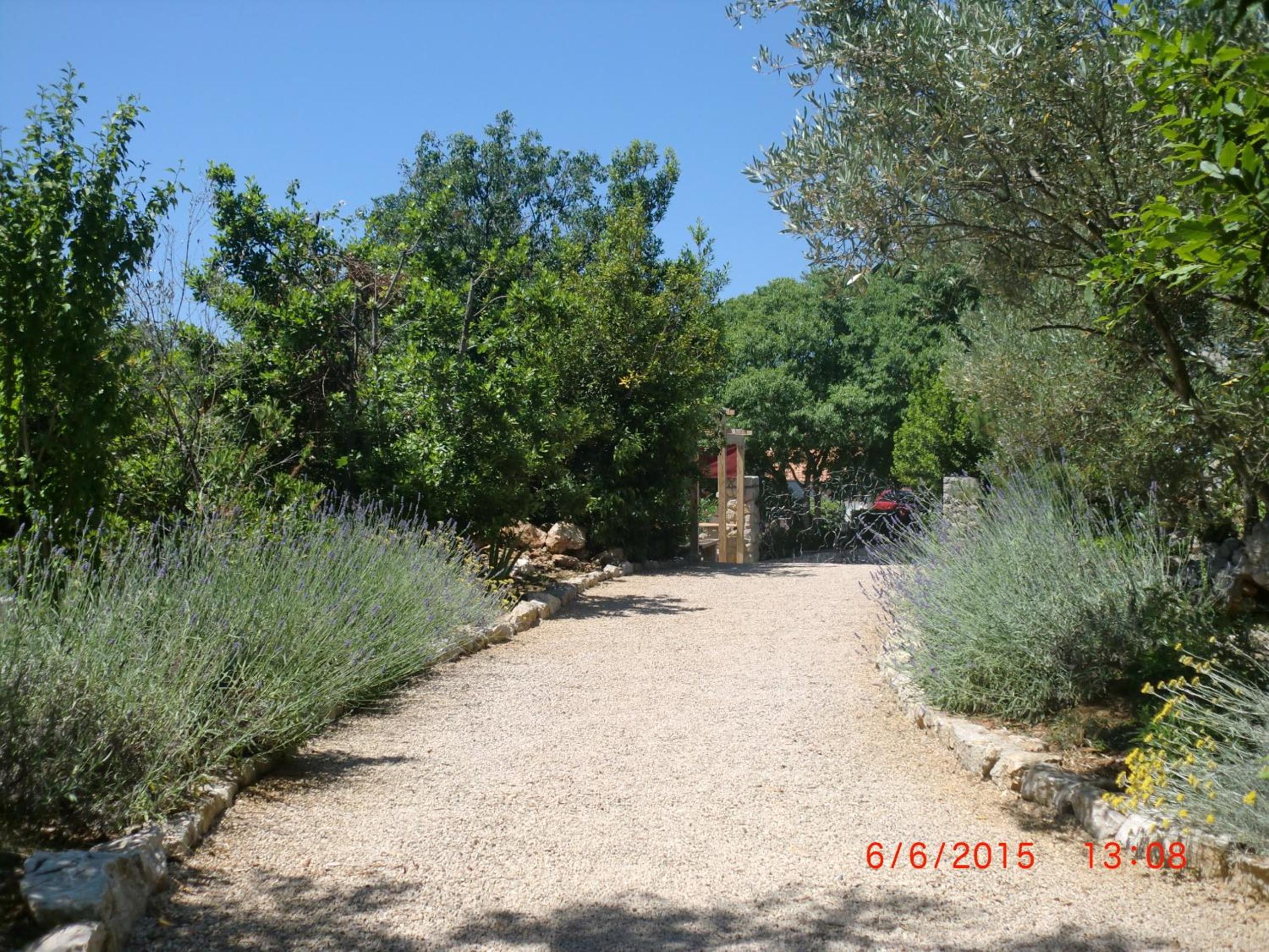 Photo 24