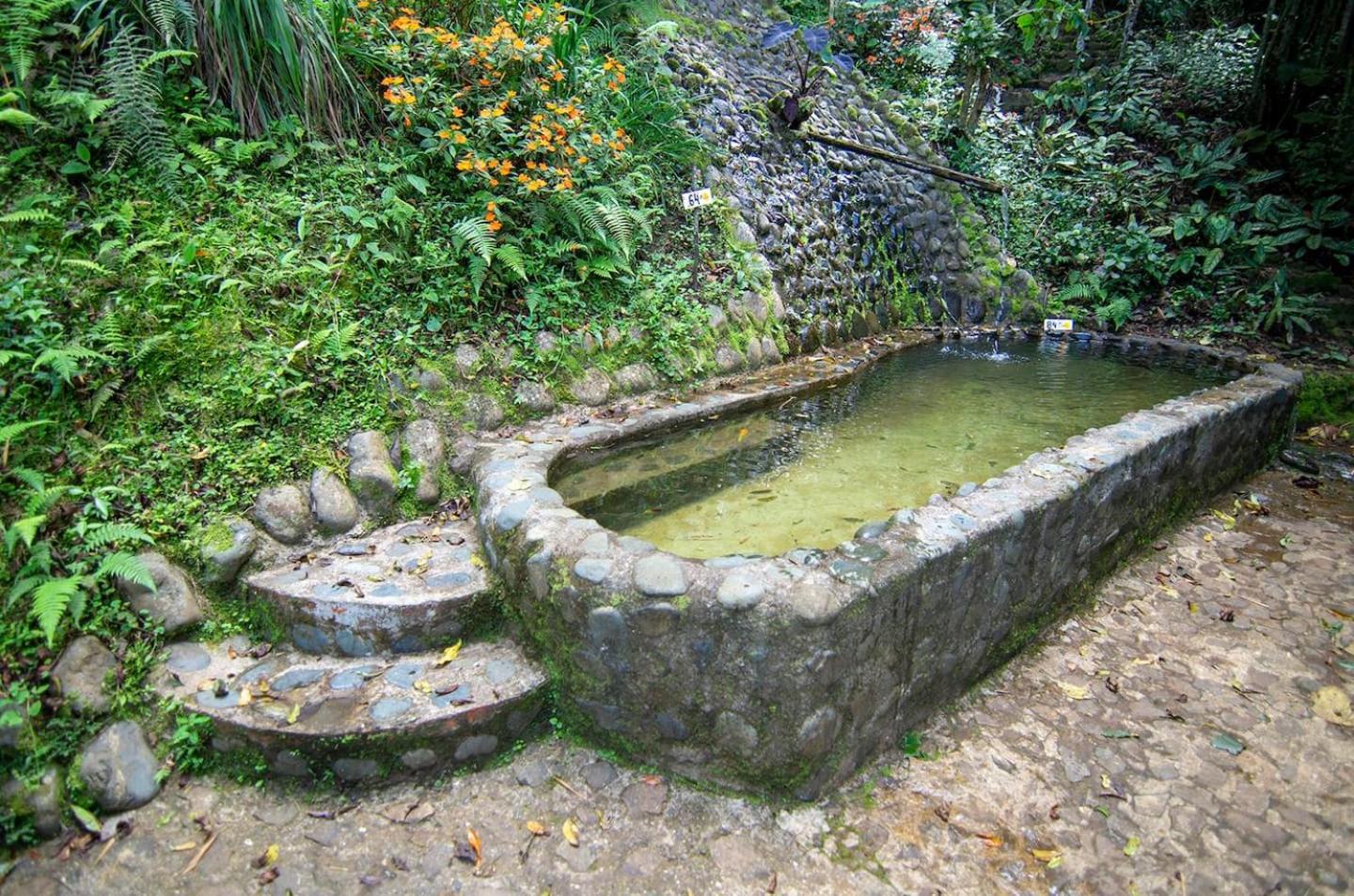 Ágora Manantial