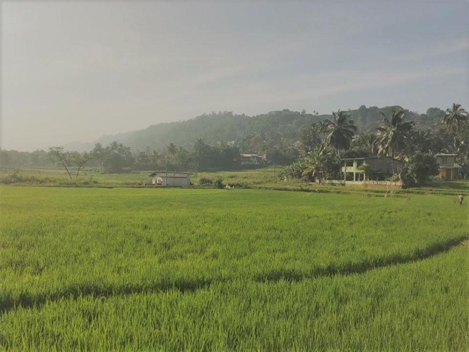 Bopegedara Comfort Villa - Kandy