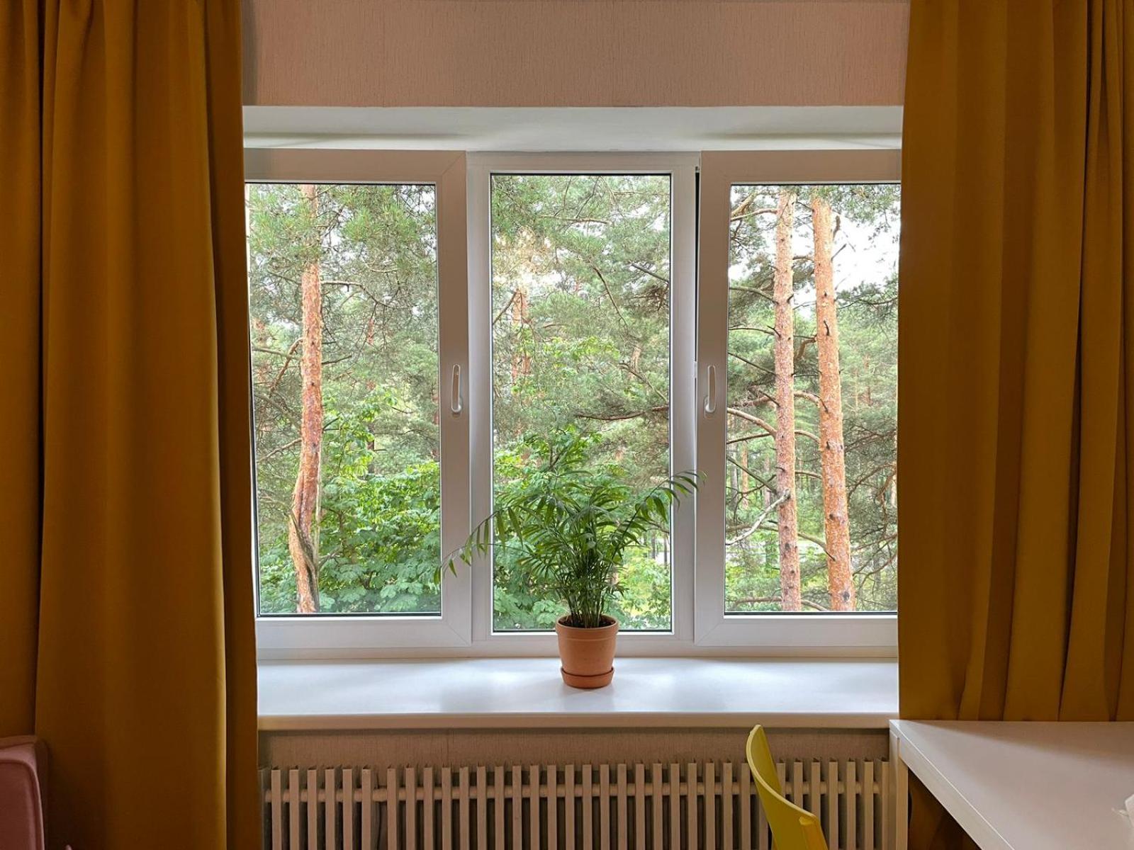 Sunny apartment with lake and forest view view 5