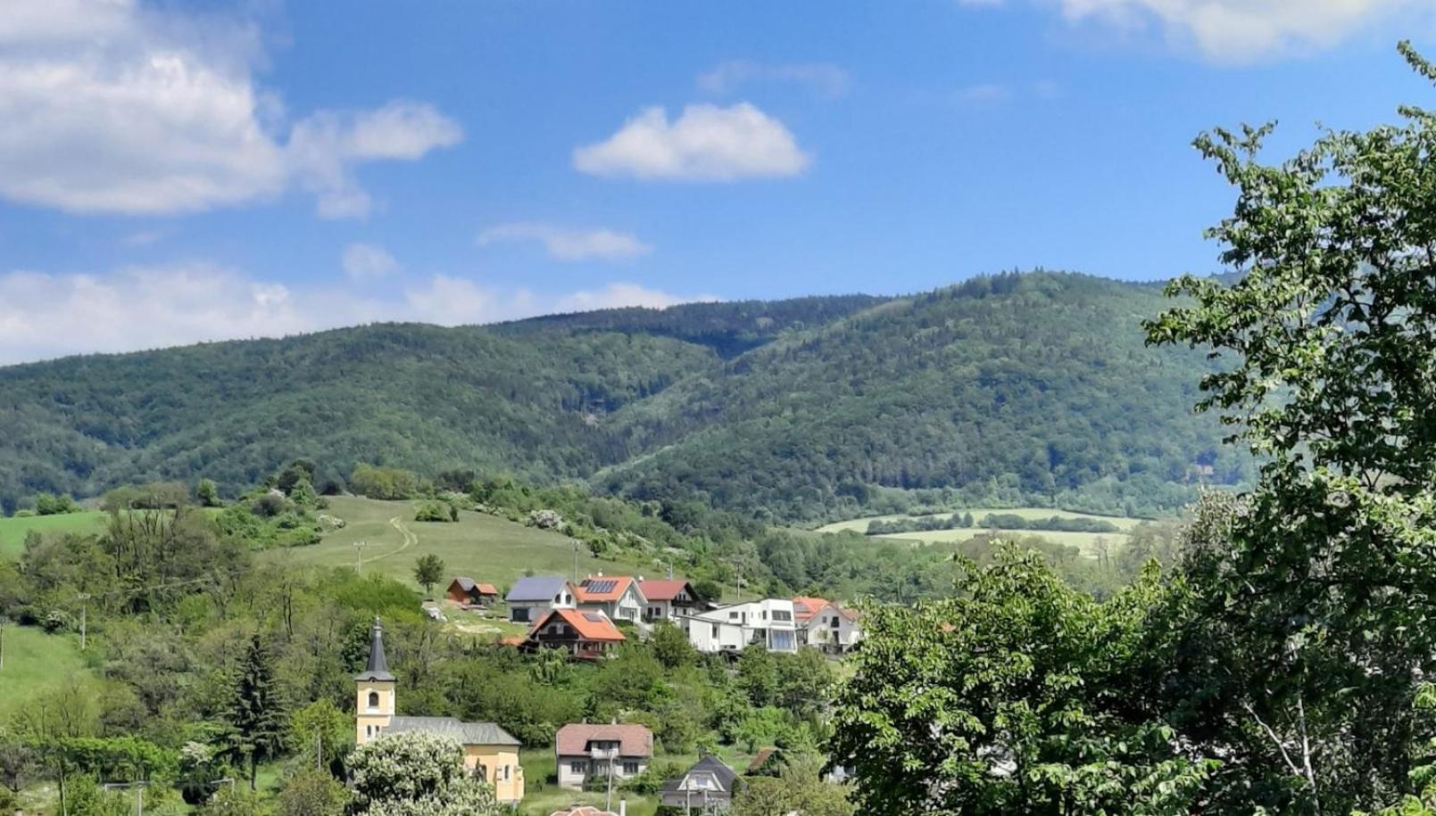 Panorama View view 4