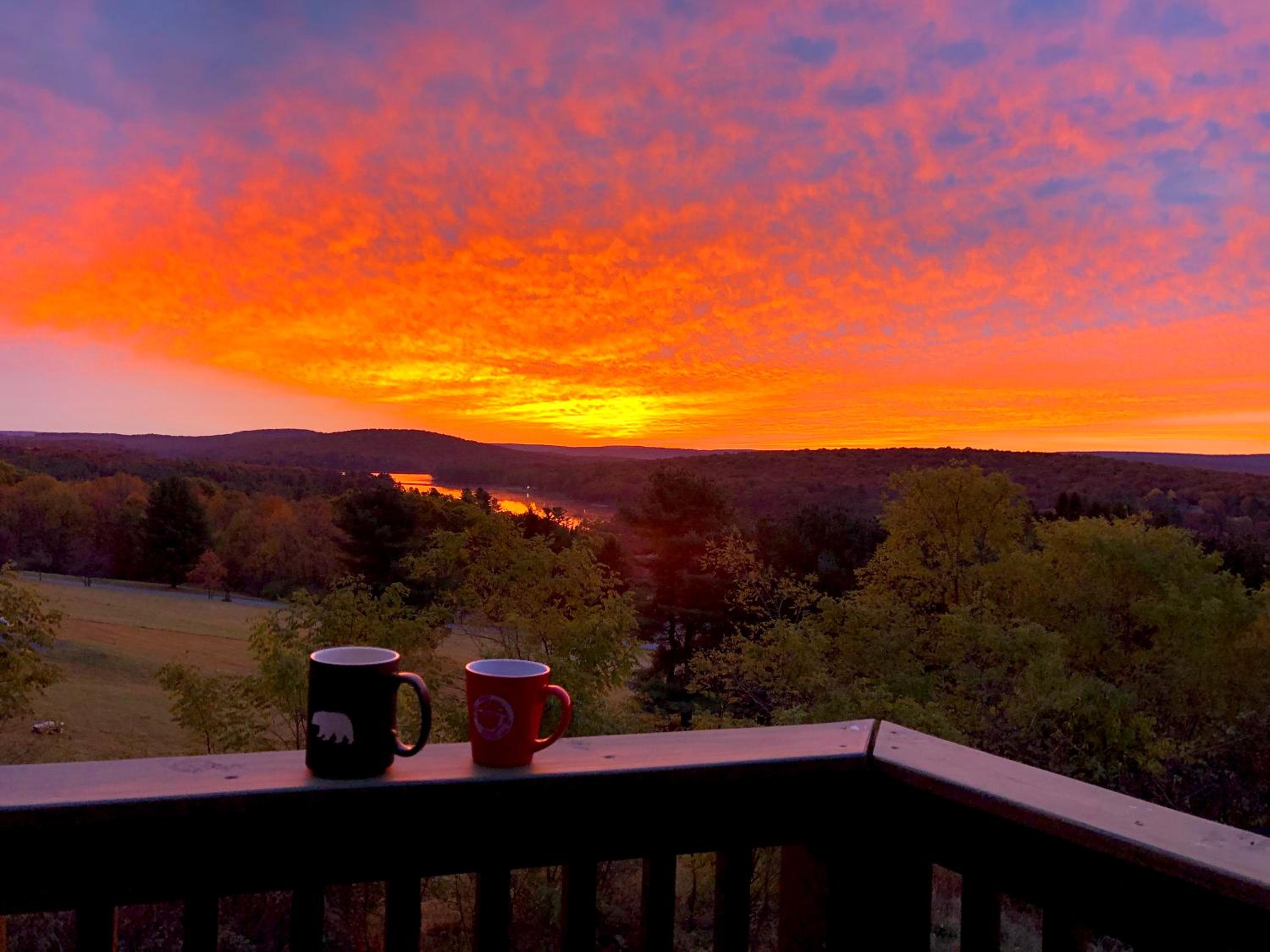 The Perch view 2