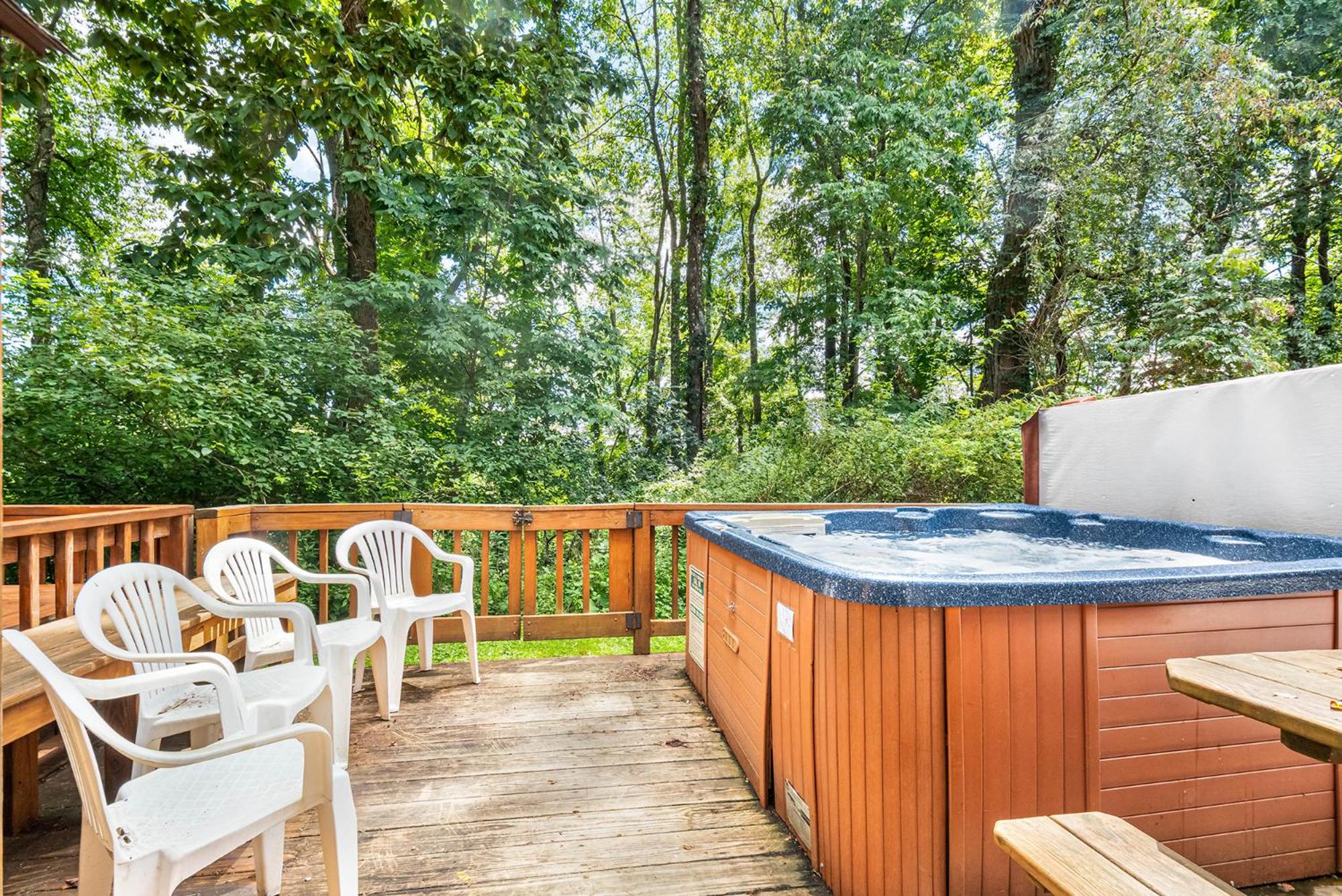 Villages of Wisp 13 Lakeview Court view 3